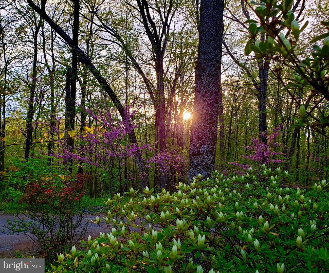 SHANNONDALE - Residential