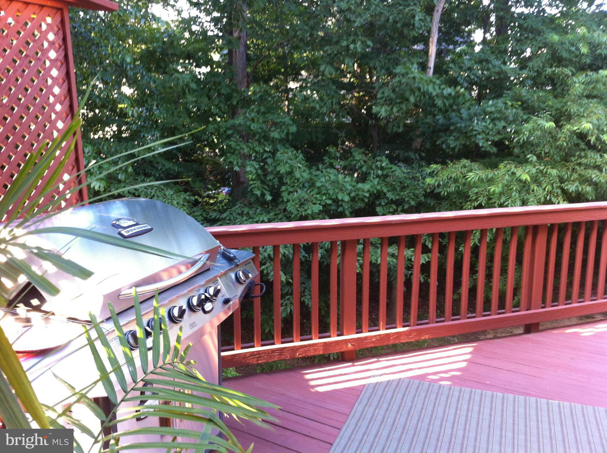 LOWES ISLAND - Residential