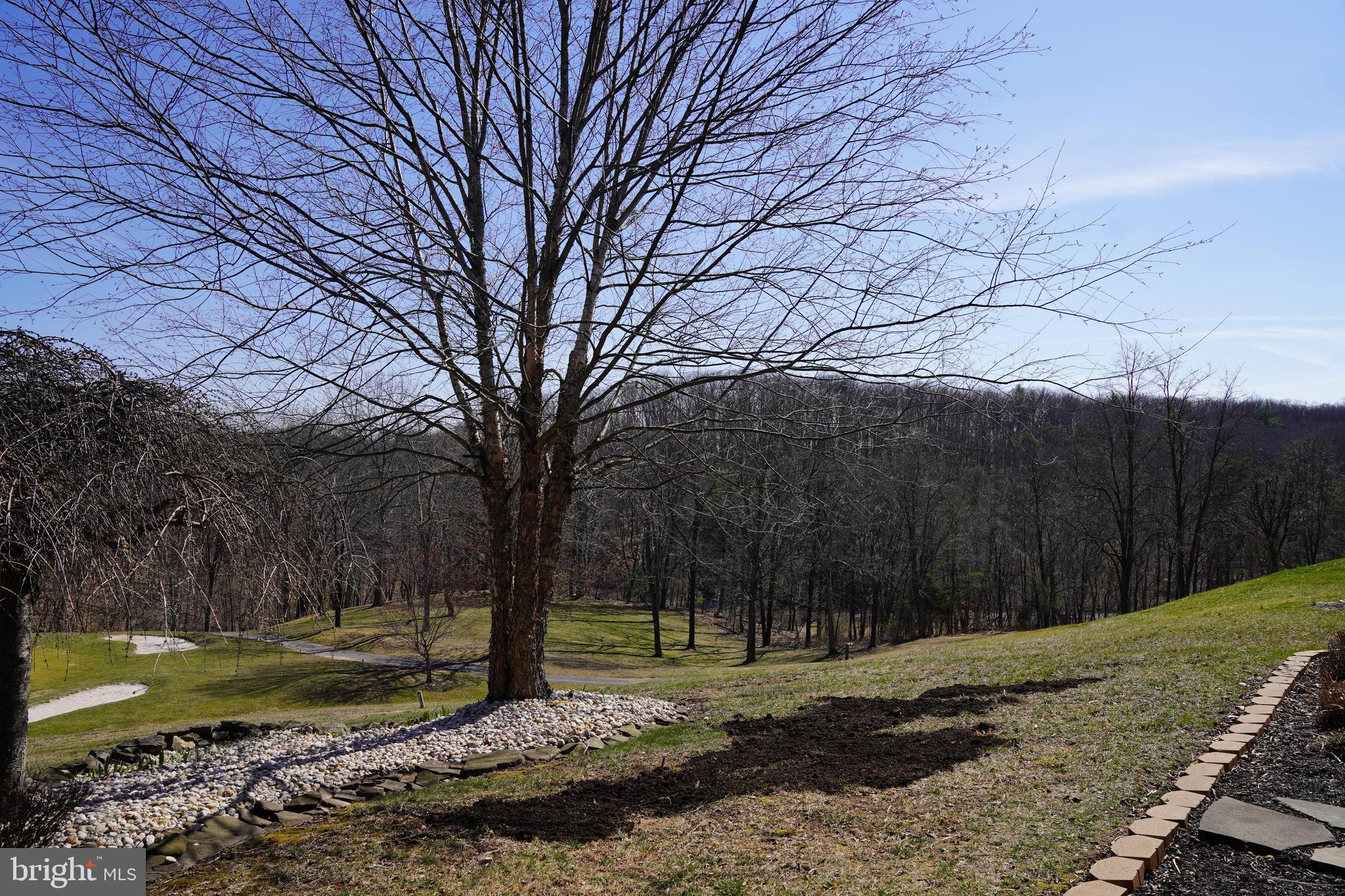 THE WOODS - Residential