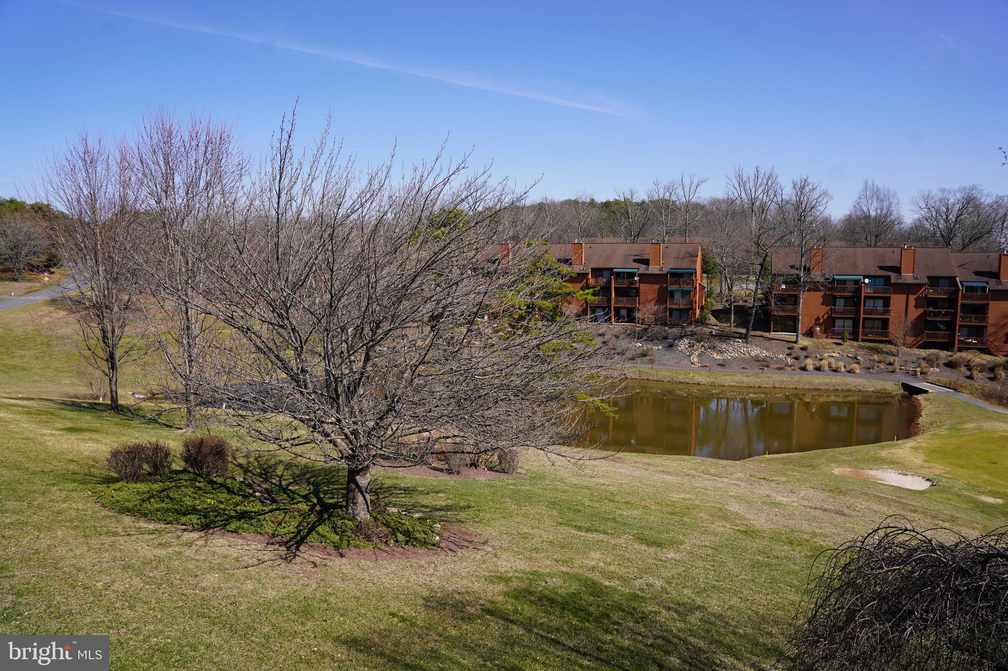 THE WOODS - Residential