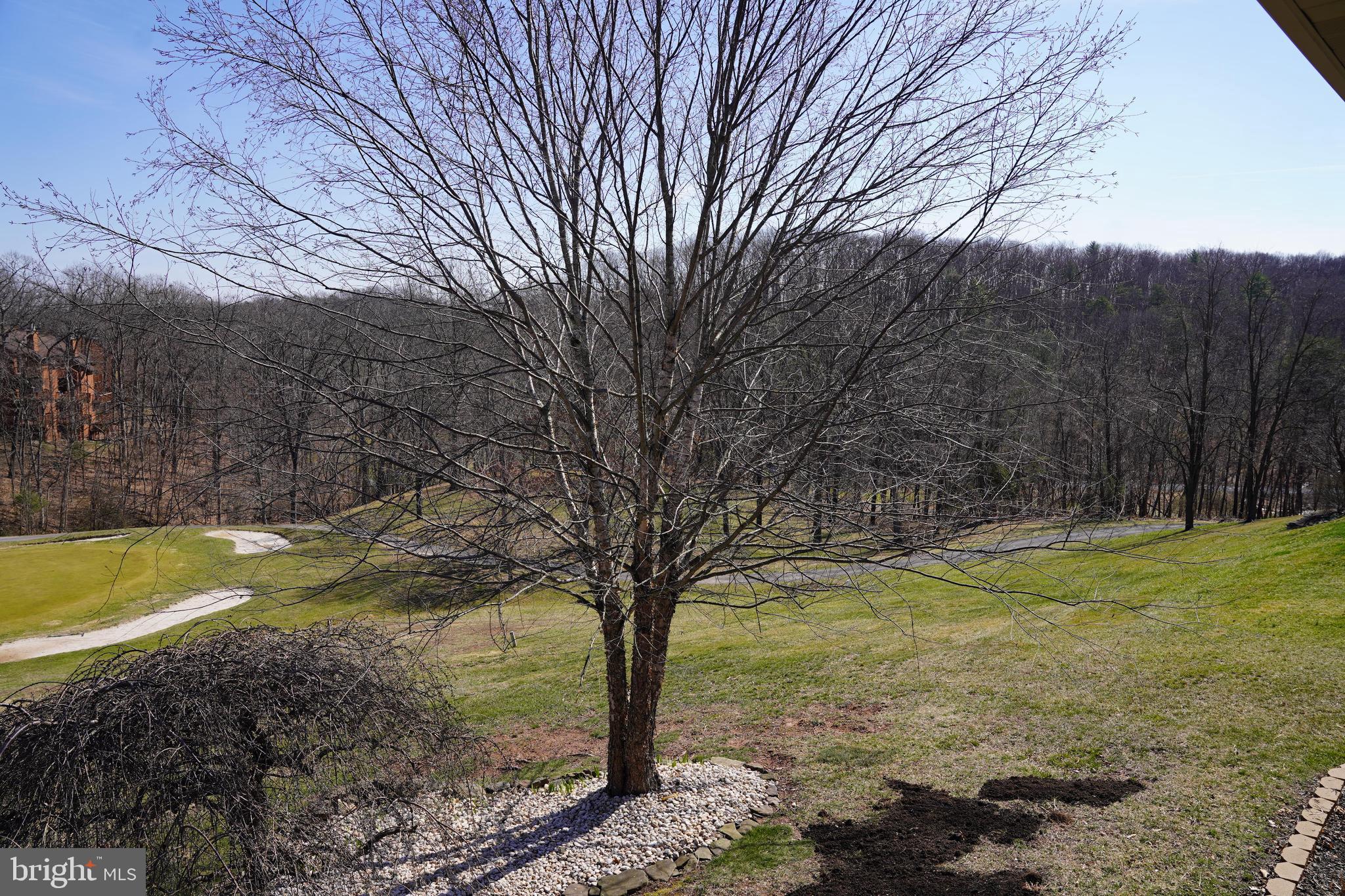 THE WOODS - Residential