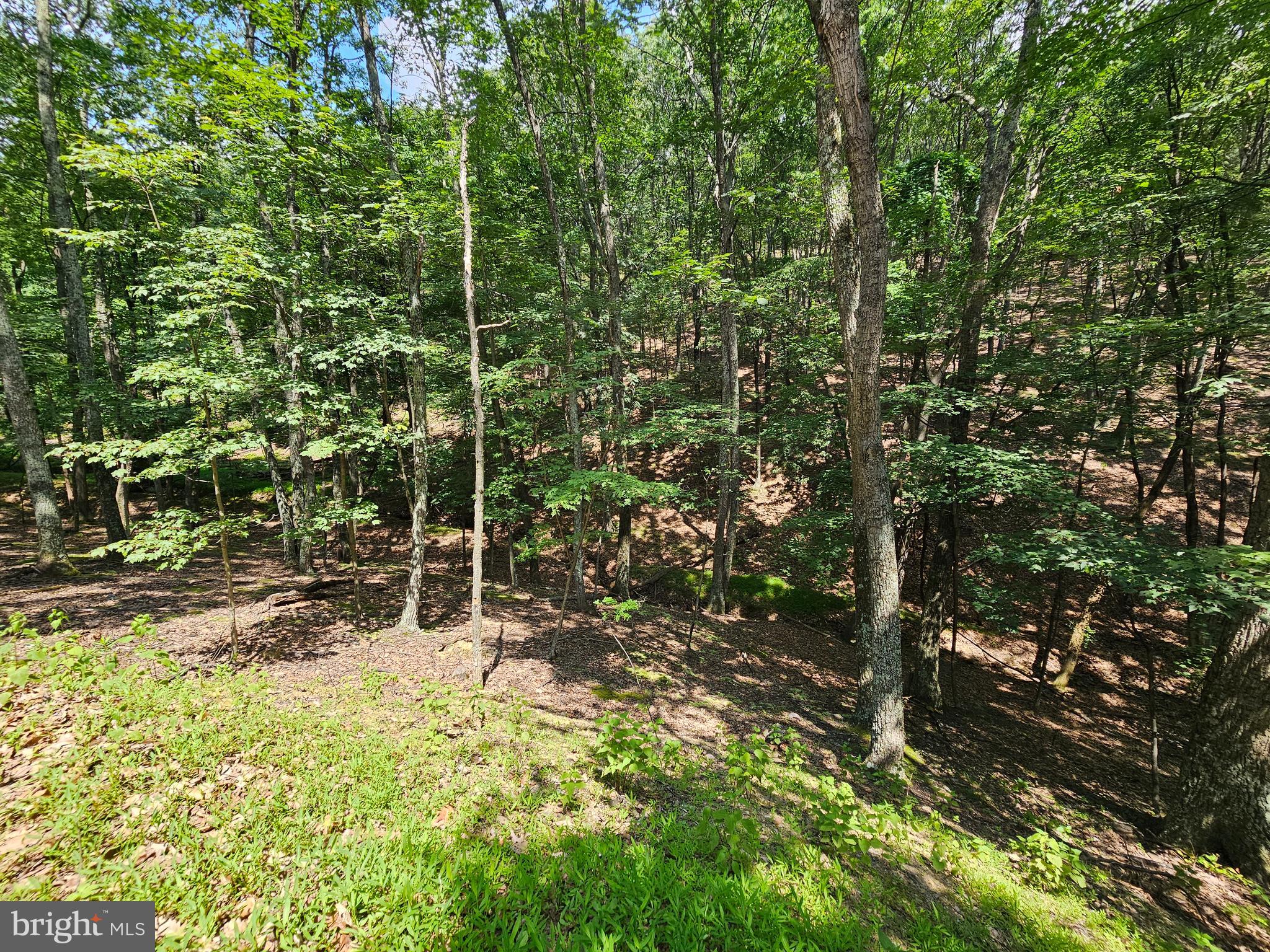 WHITETAIL RIDGE SUBDIV - Residential