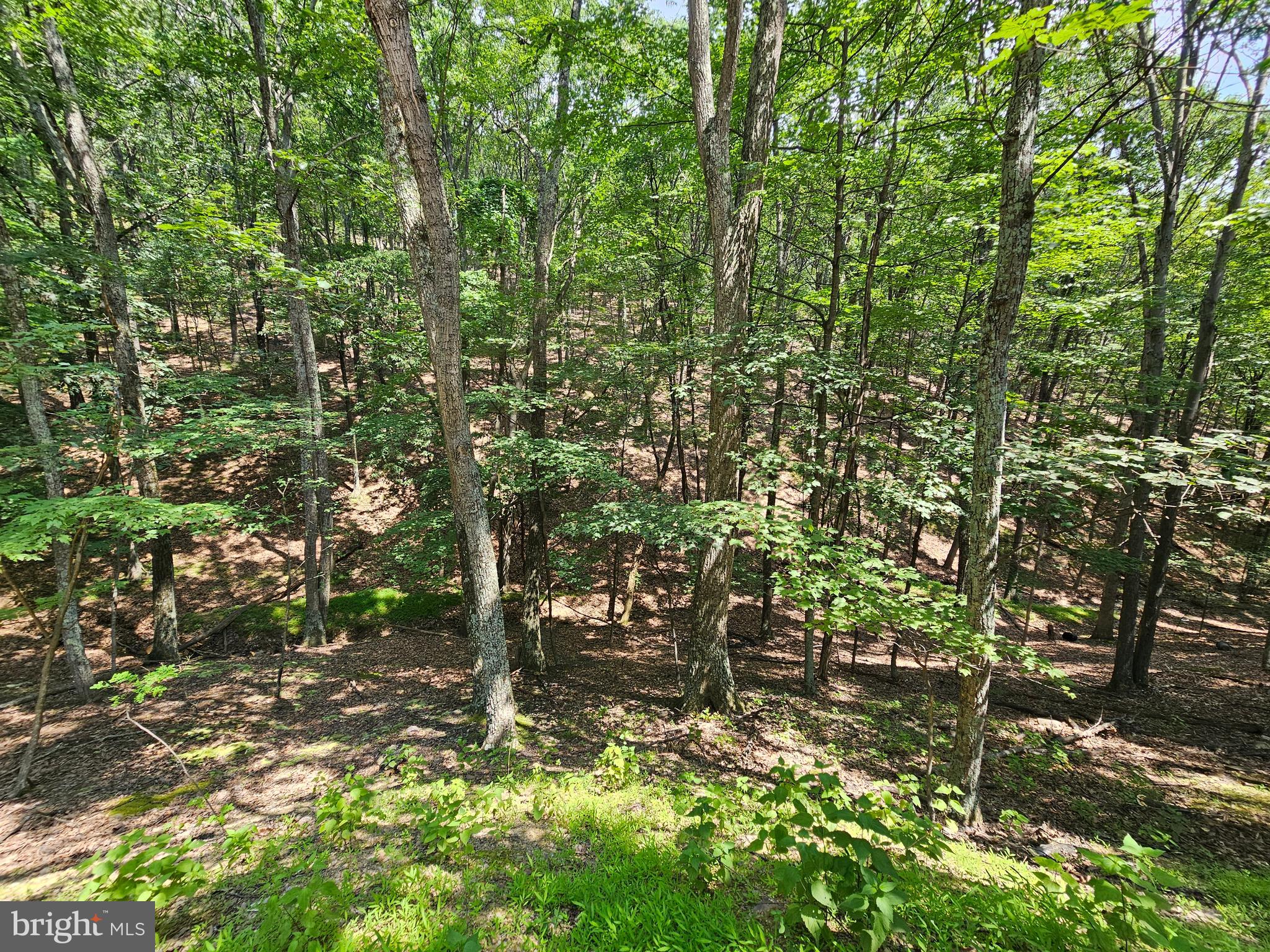 WHITETAIL RIDGE SUBDIV - Residential