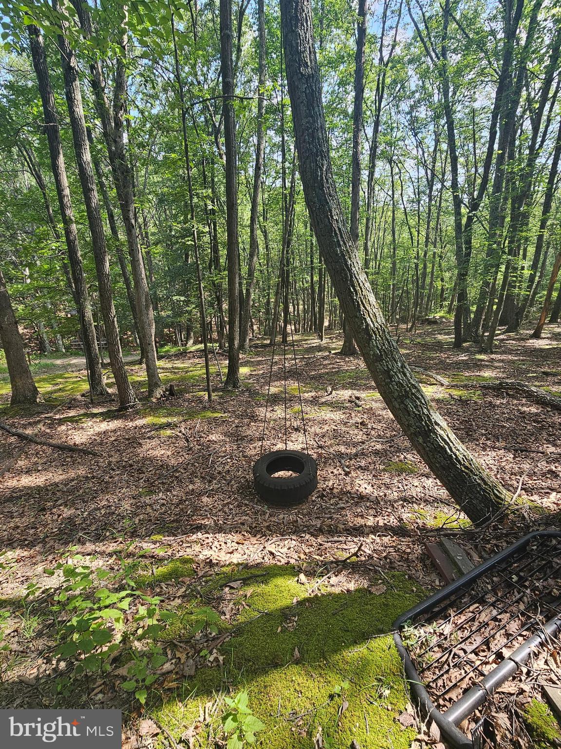 WHITETAIL RIDGE SUBDIV - Residential