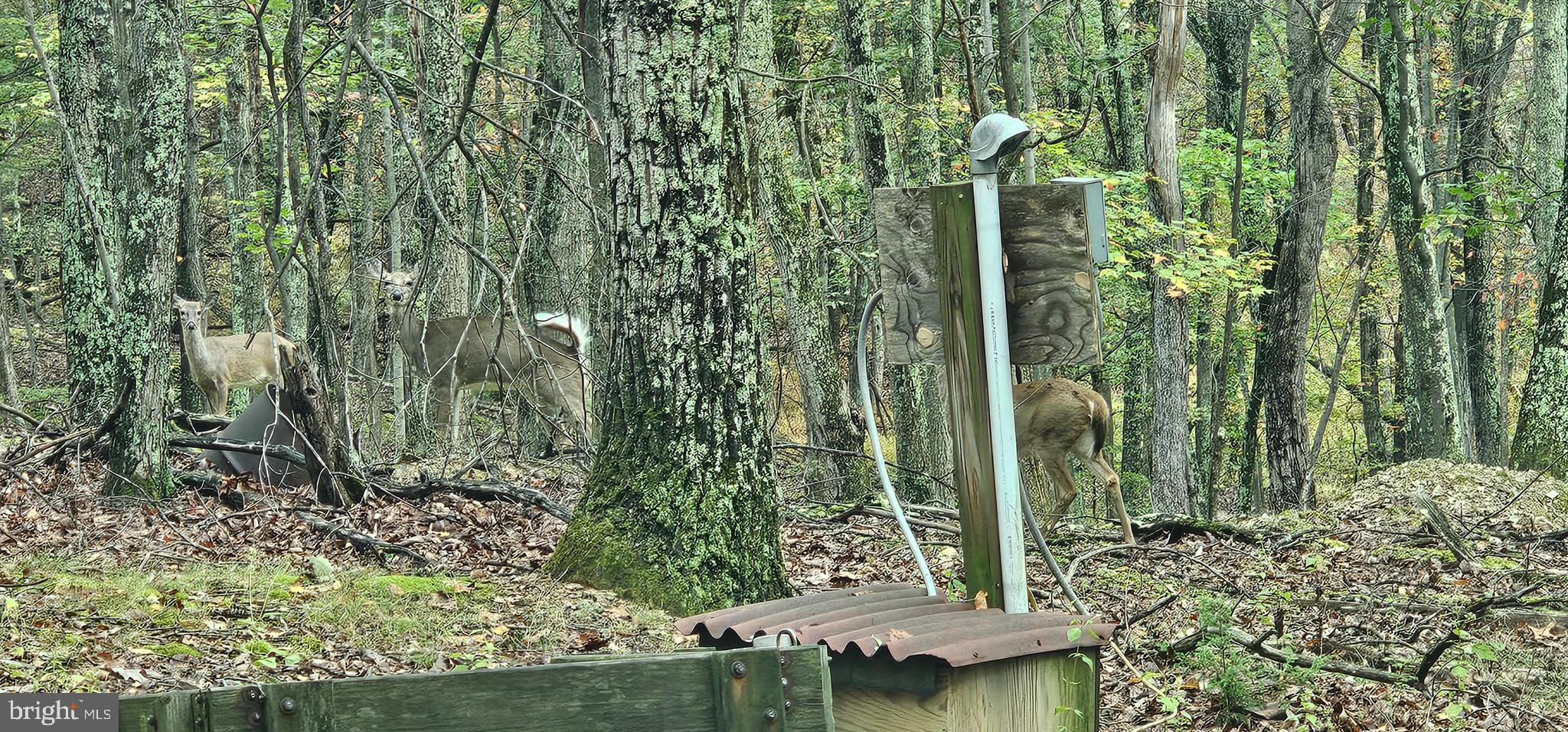 WHITETAIL RIDGE SUBDIV - Residential