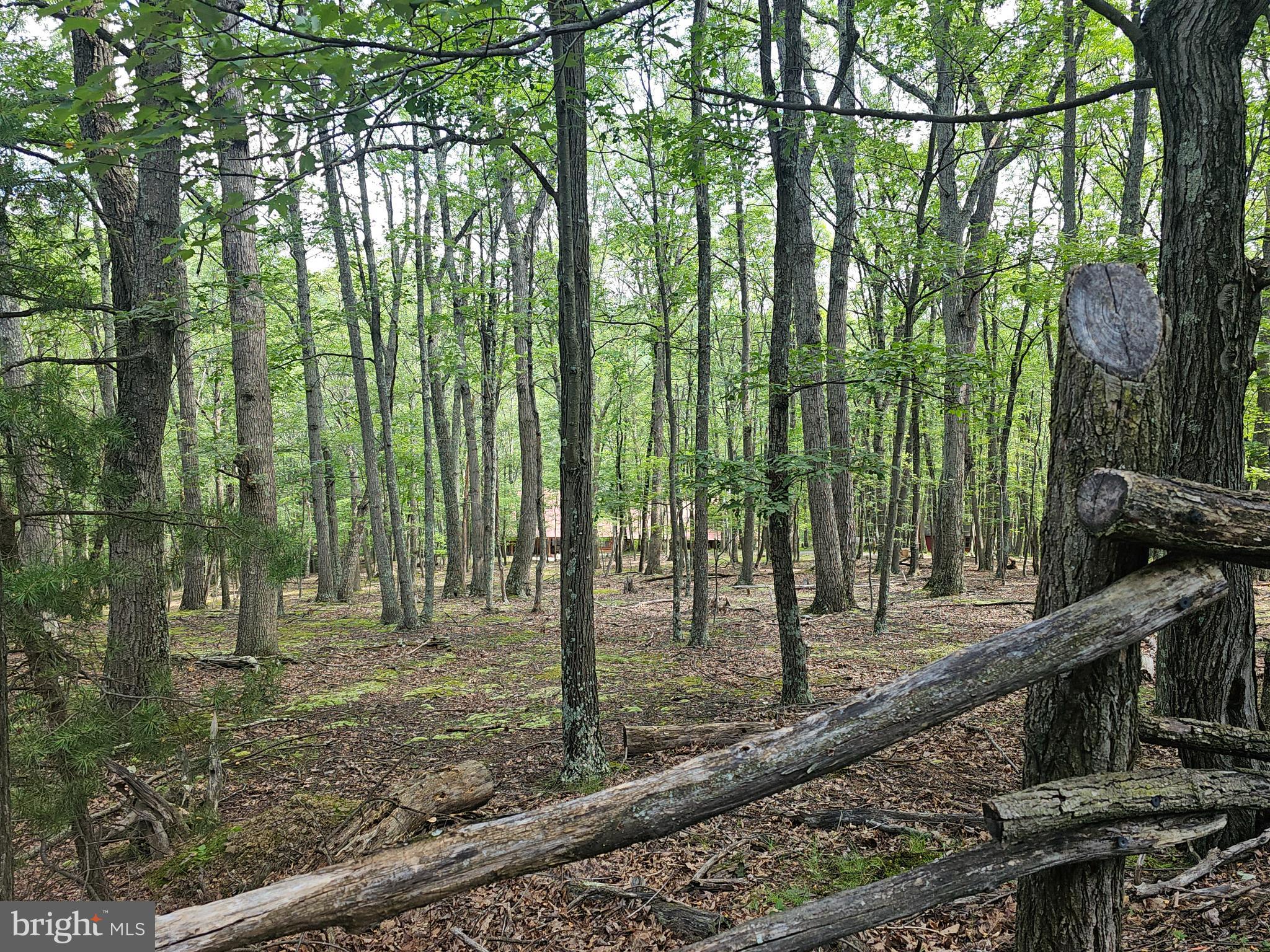 WHITETAIL RIDGE SUBDIV - Residential