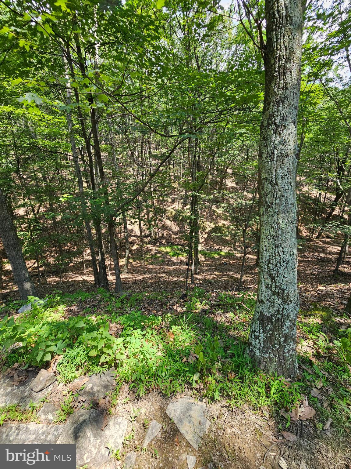 WHITETAIL RIDGE SUBDIV - Residential