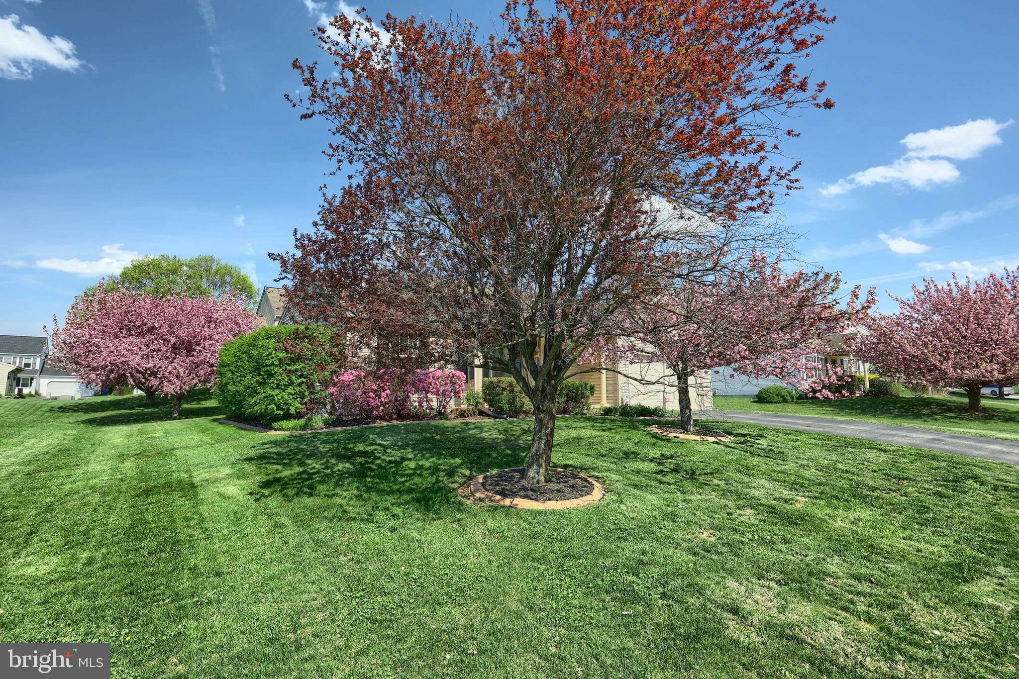 ALLYSON'S CROSSING - Residential