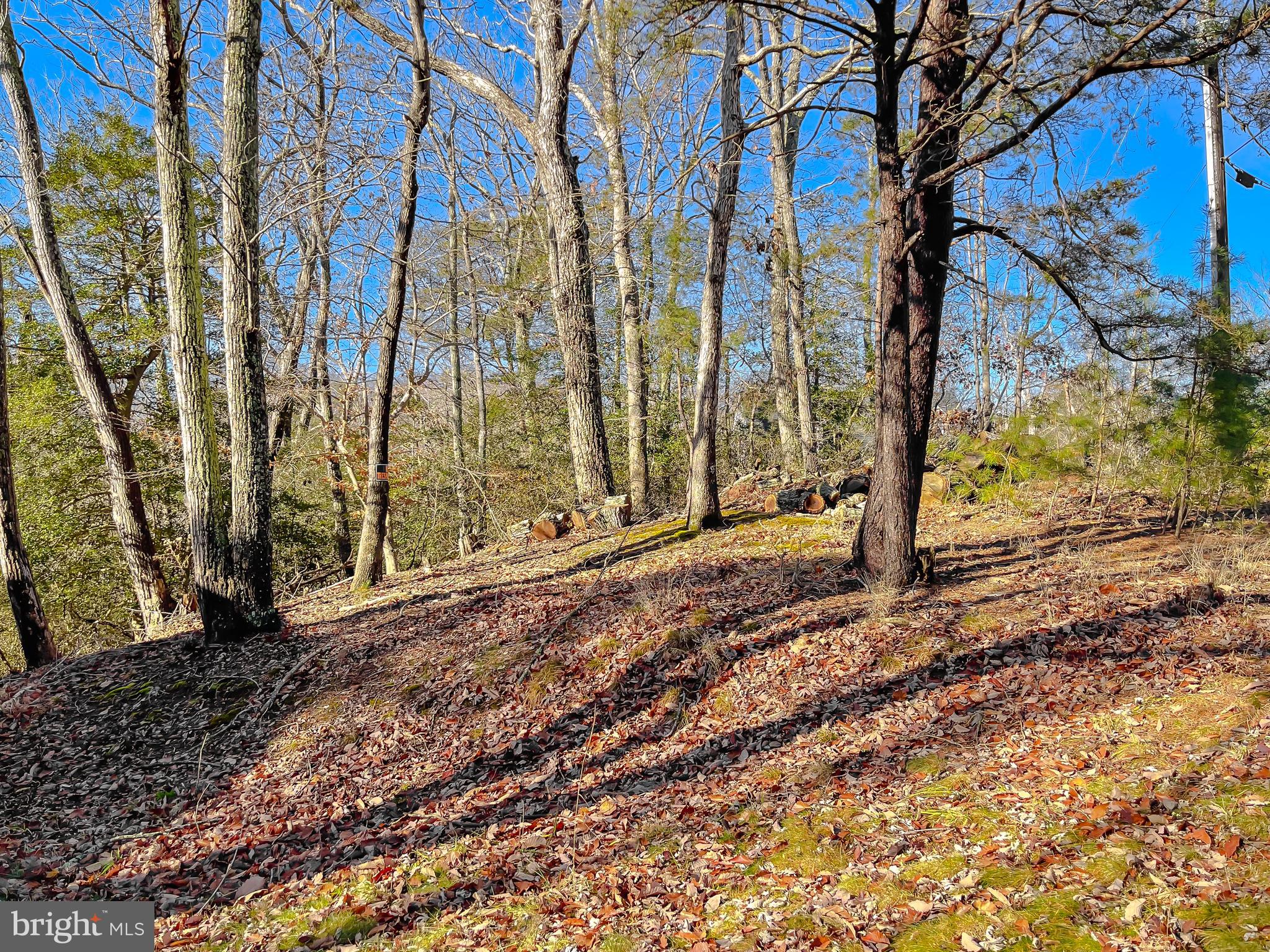 CHESAPEAKE RANCH ESTATES - Residential