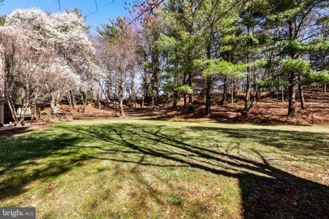 listing image 51