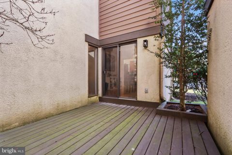 listing image 50