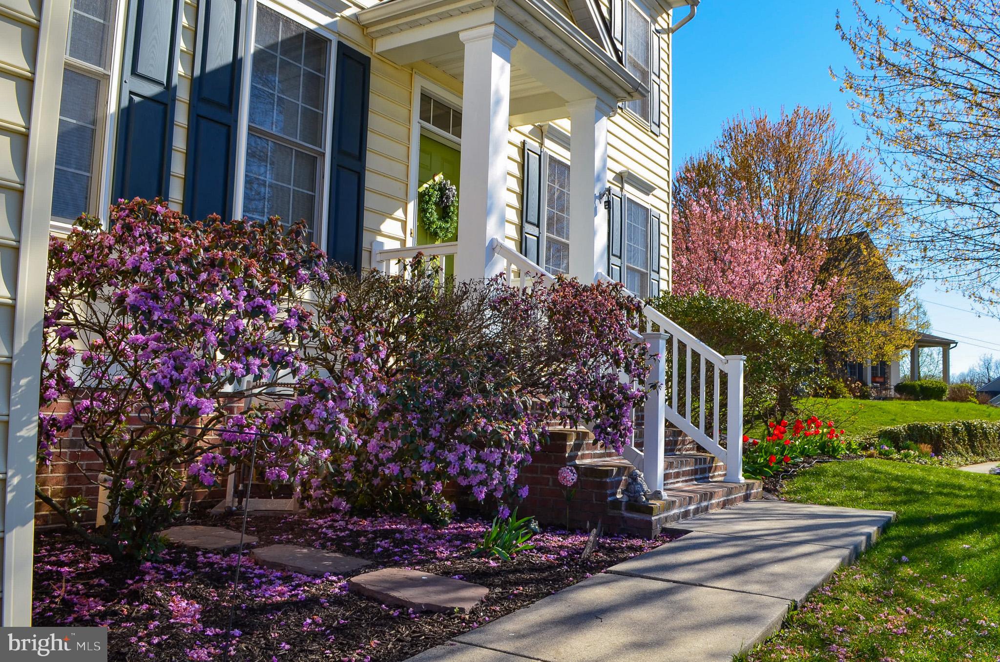 SAGE HILL - Residential