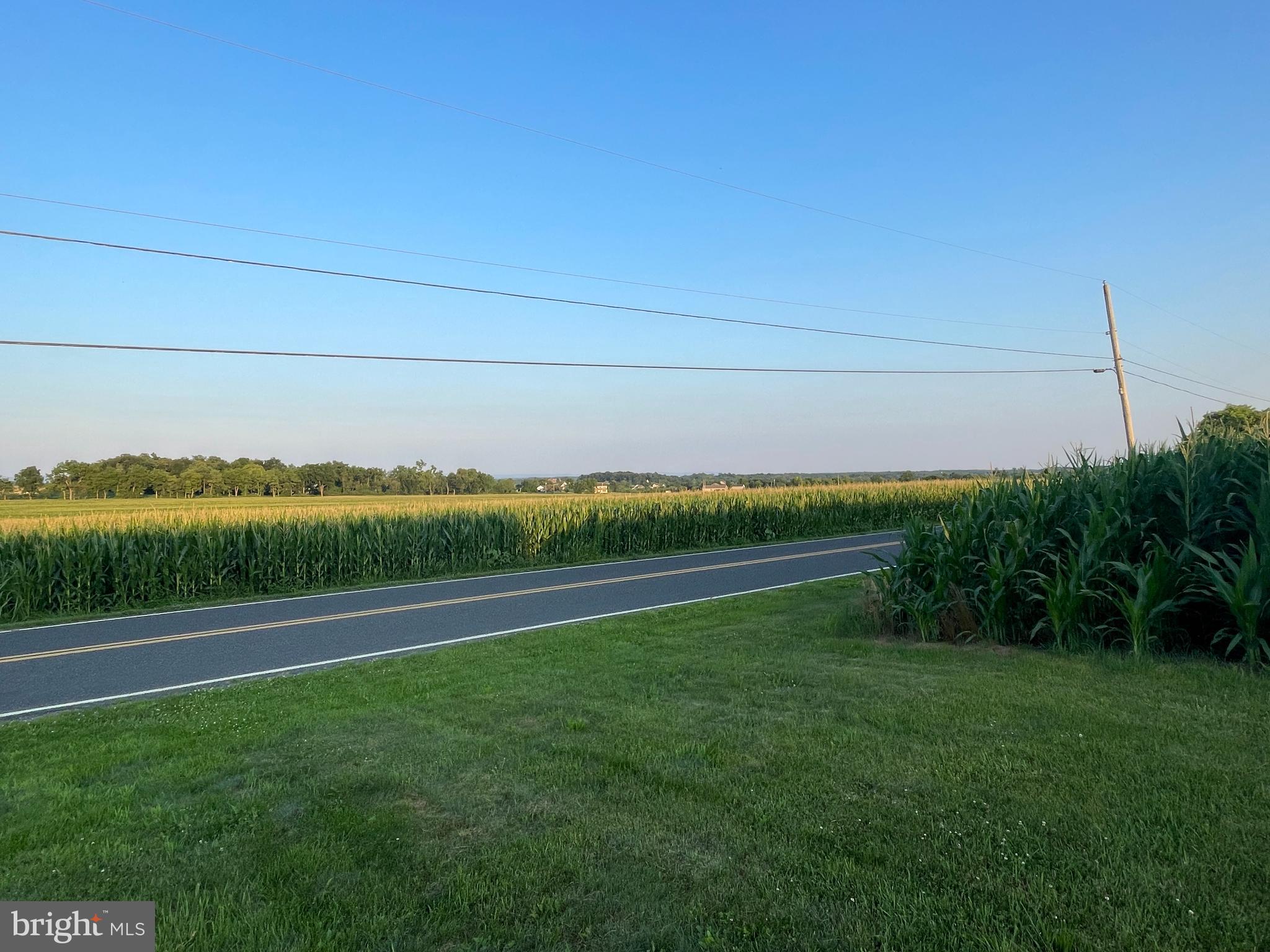 NONE AVAILABLE - Farm