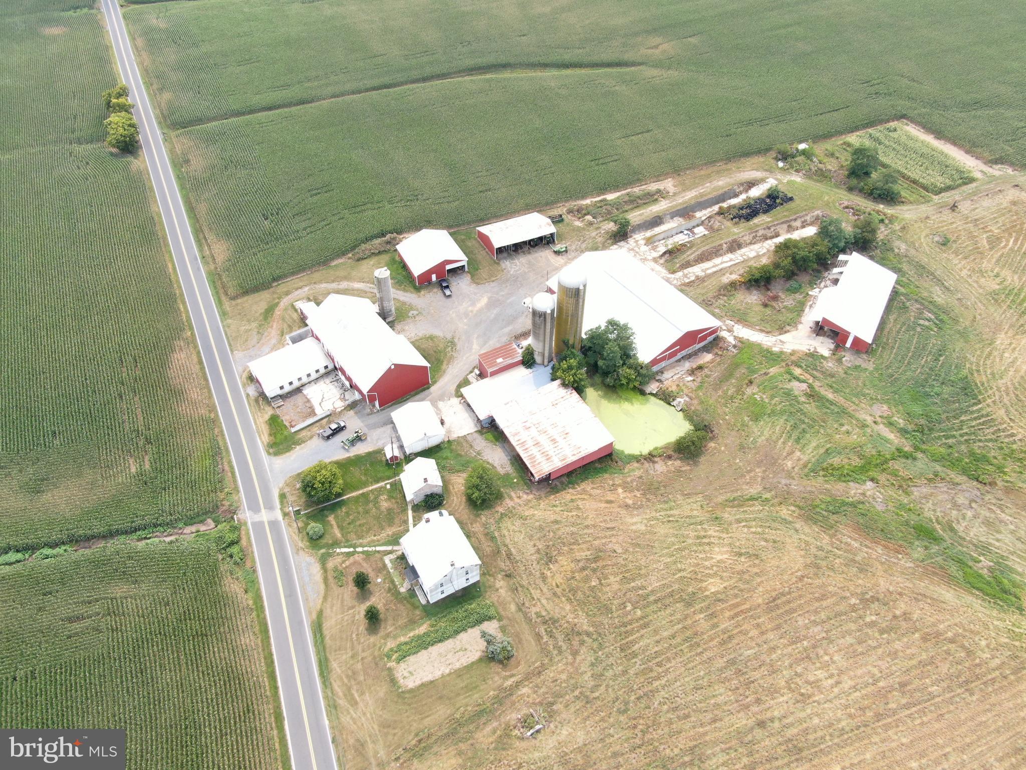 NONE AVAILABLE - Farm