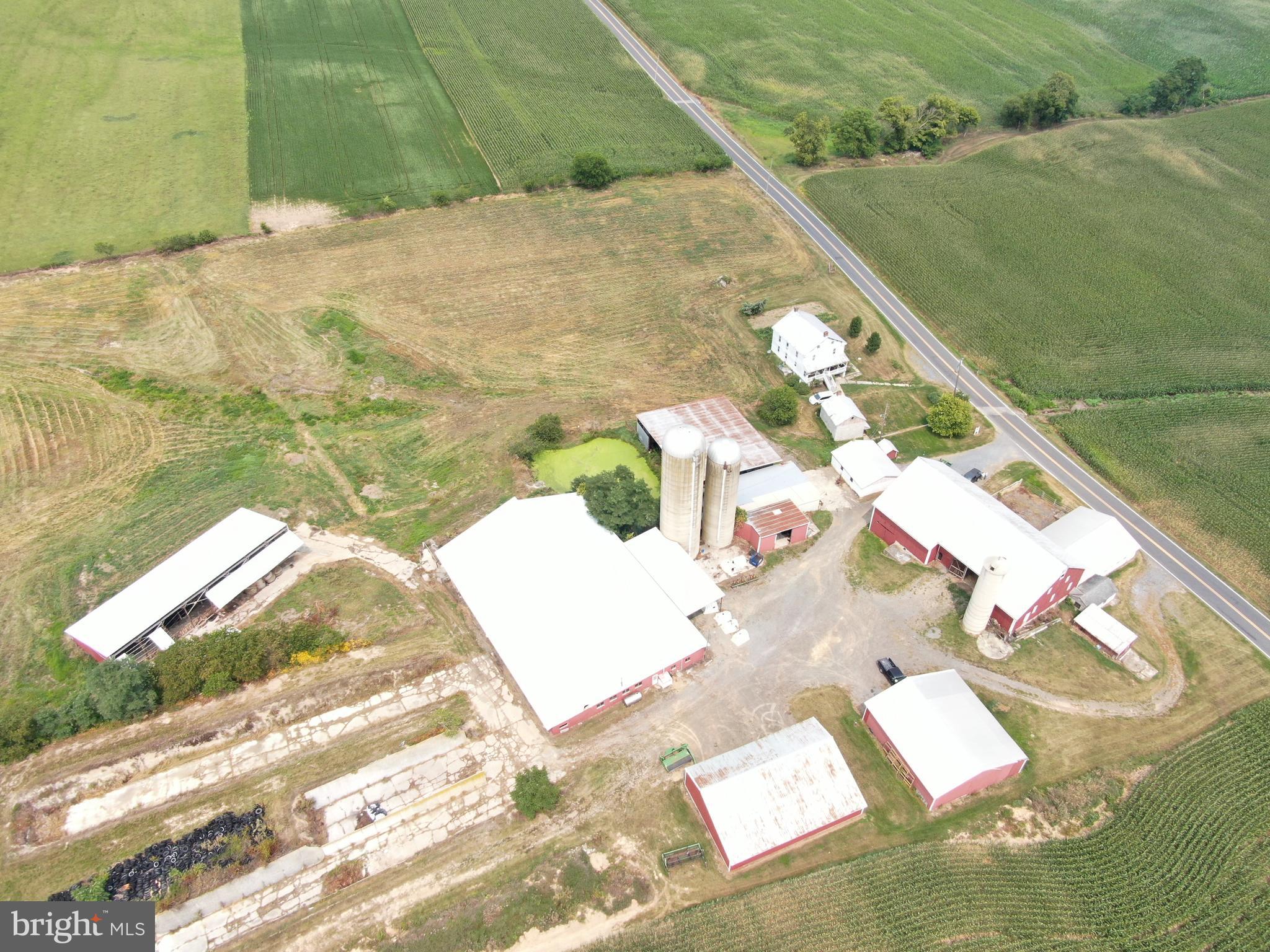 NONE AVAILABLE - Farm