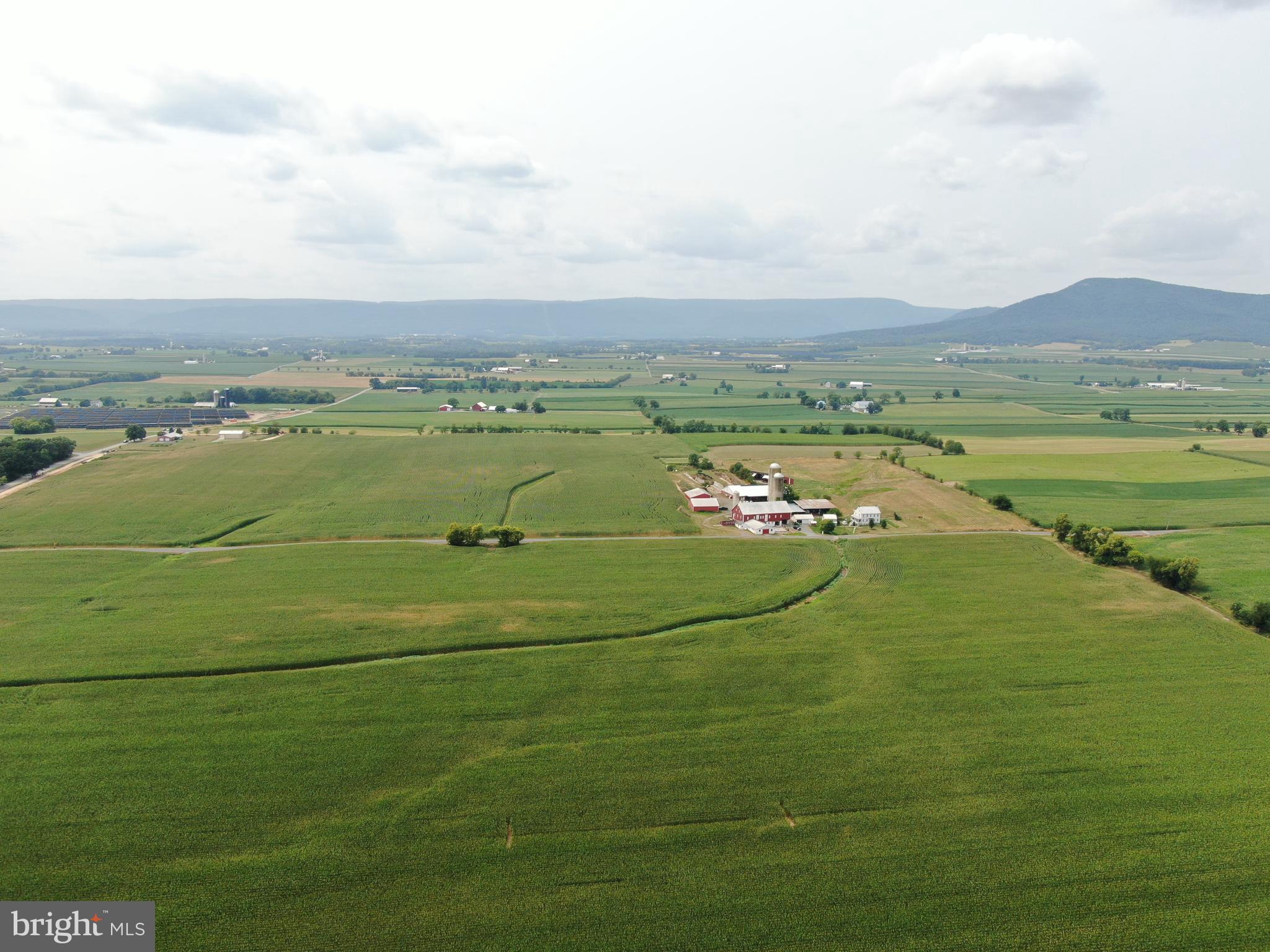 NONE AVAILABLE - Farm