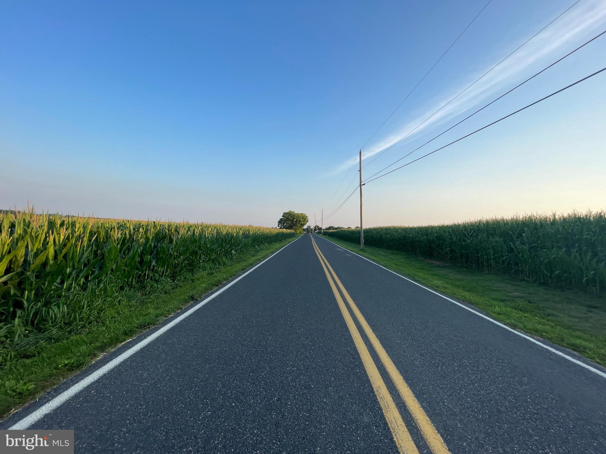 NONE AVAILABLE - Farm