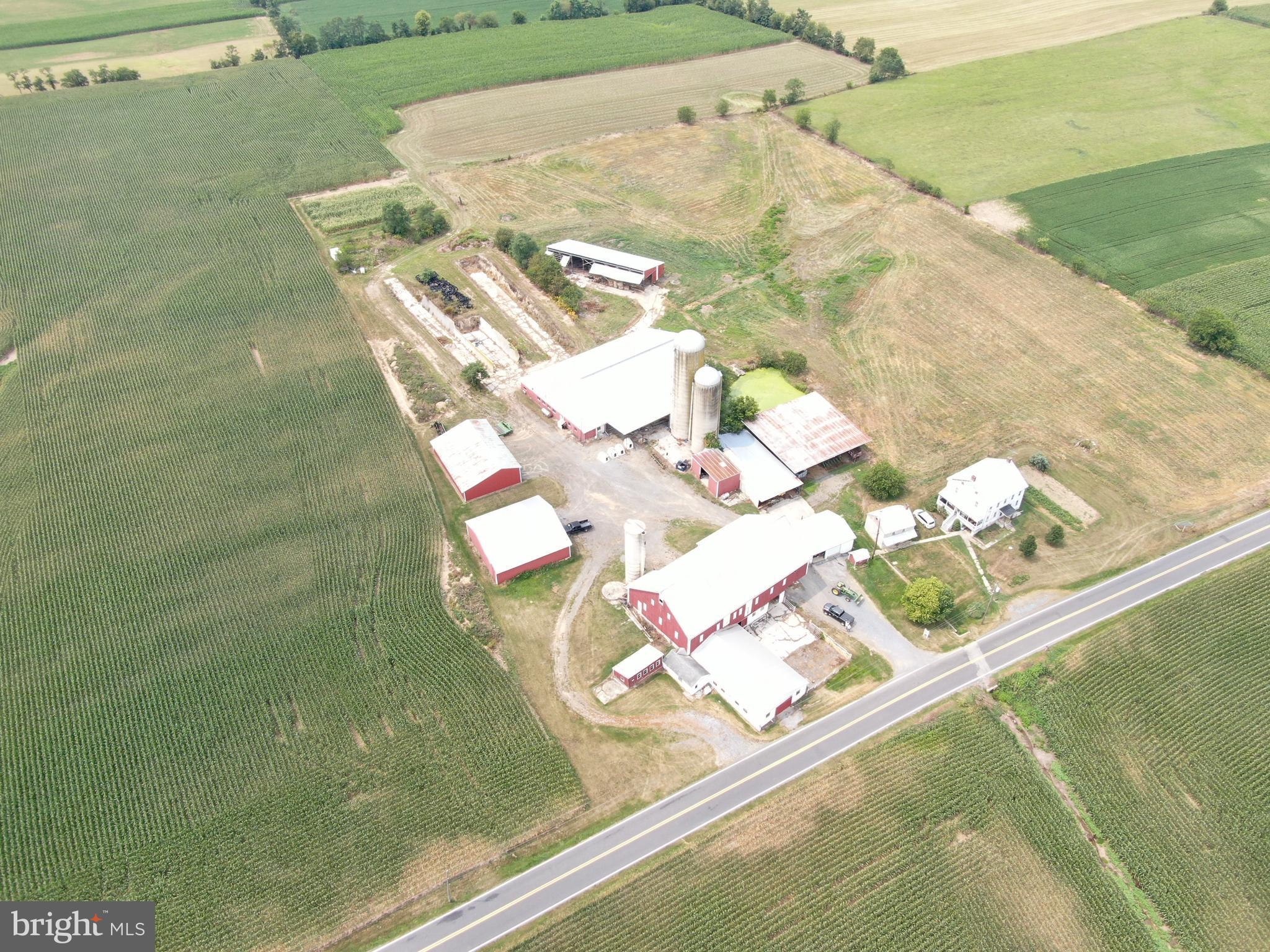 NONE AVAILABLE - Farm