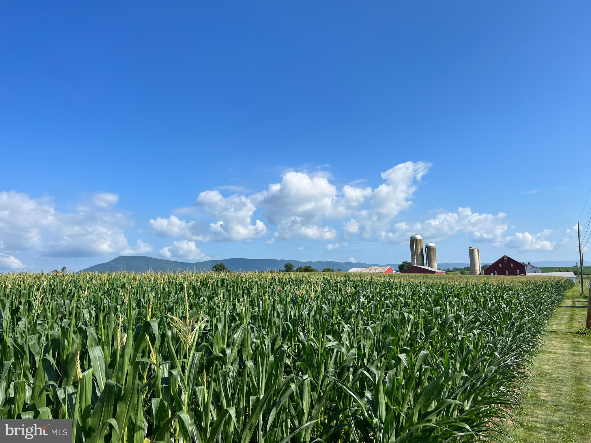 NONE AVAILABLE - Farm