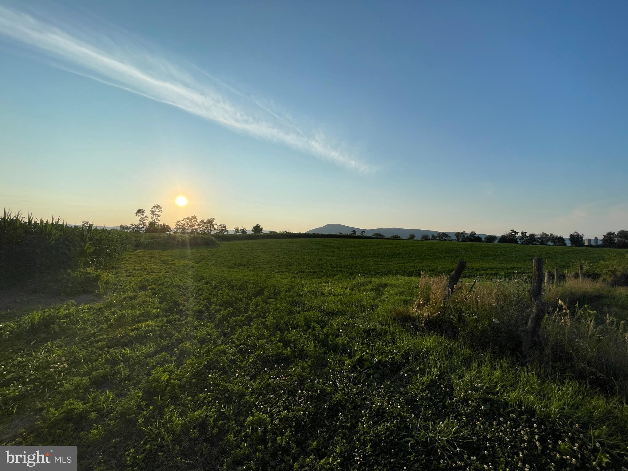 NONE AVAILABLE - Farm