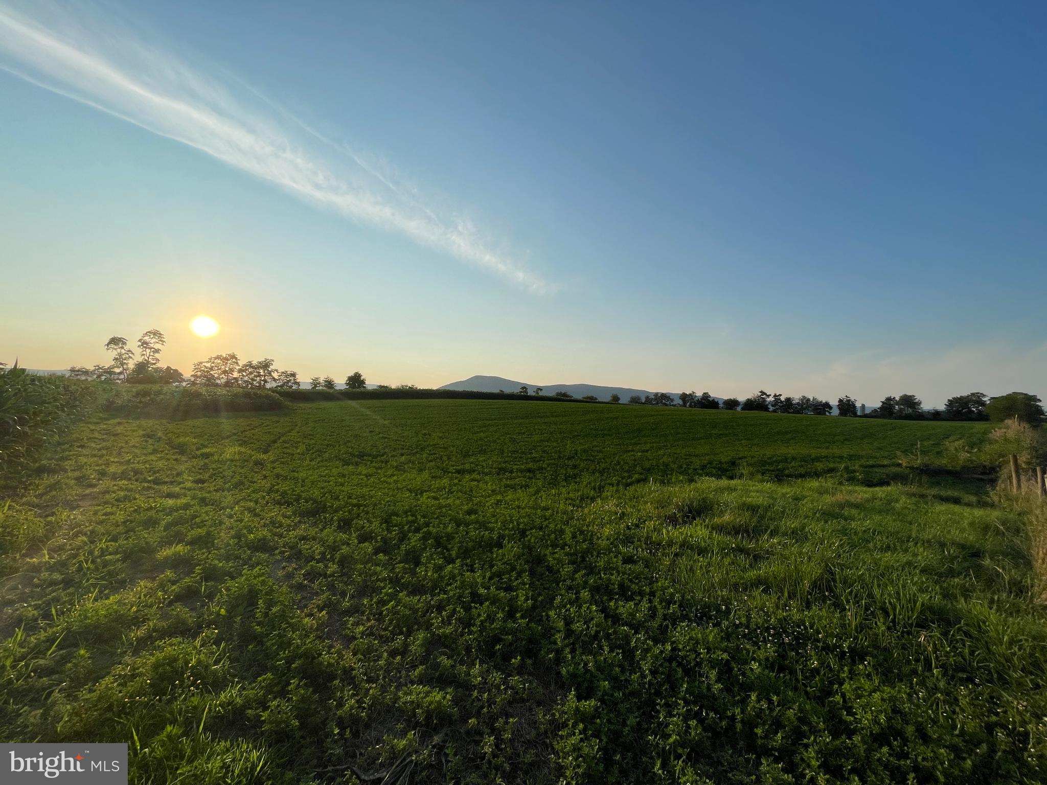 NONE AVAILABLE - Farm