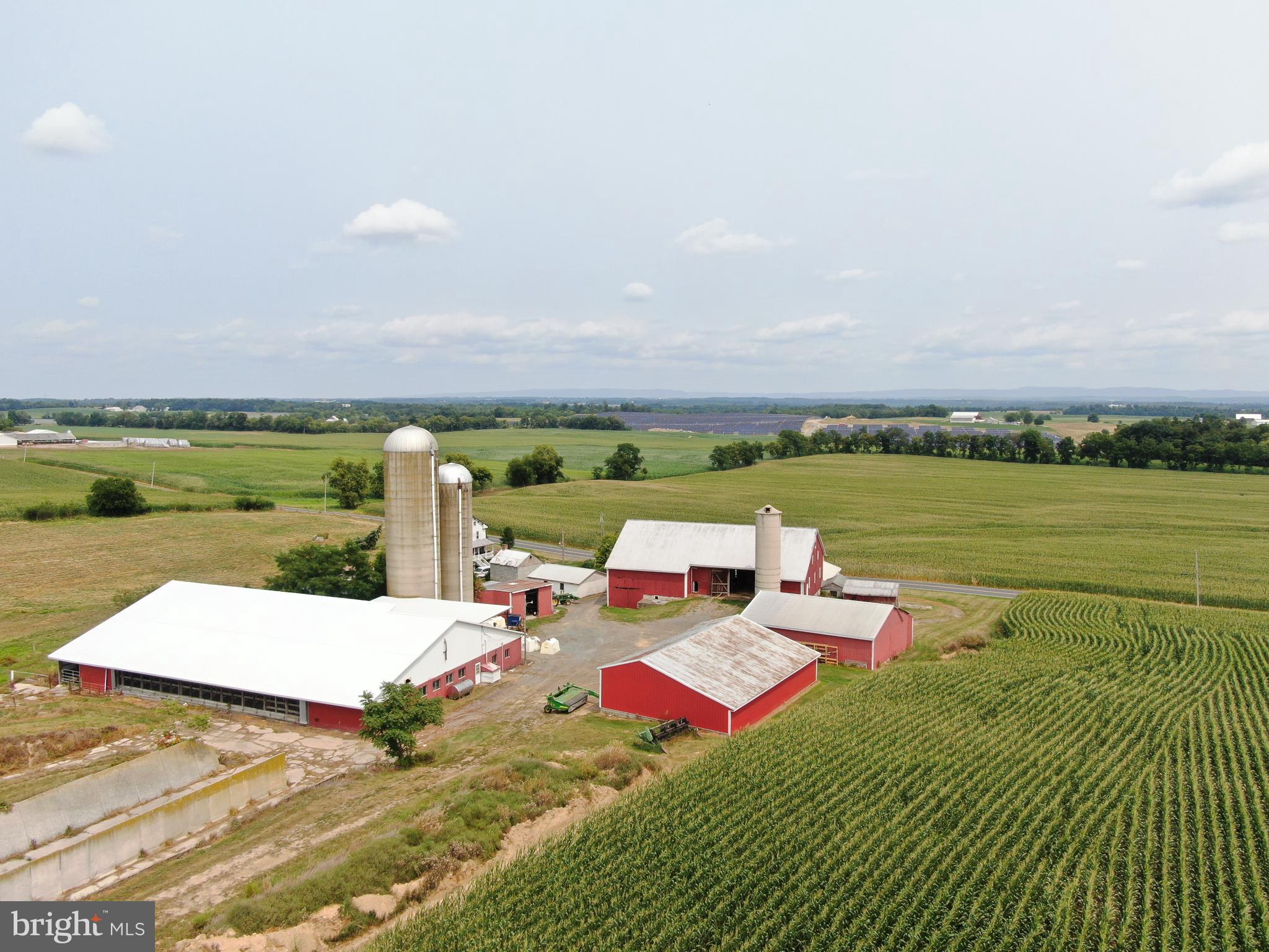 NONE AVAILABLE - Farm