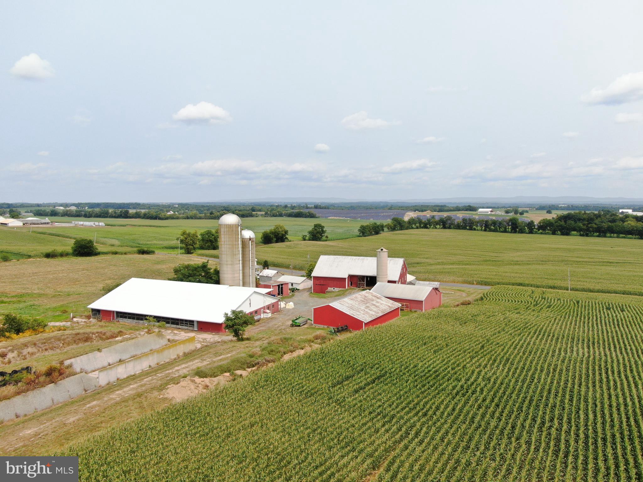 NONE AVAILABLE - Farm