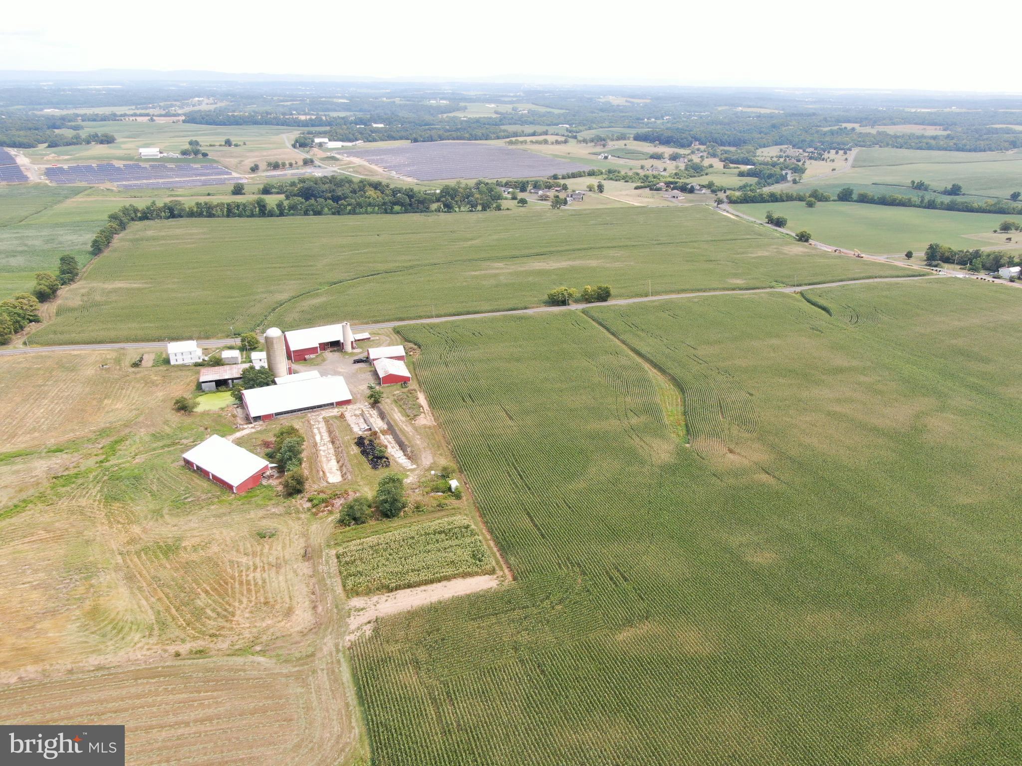 NONE AVAILABLE - Farm