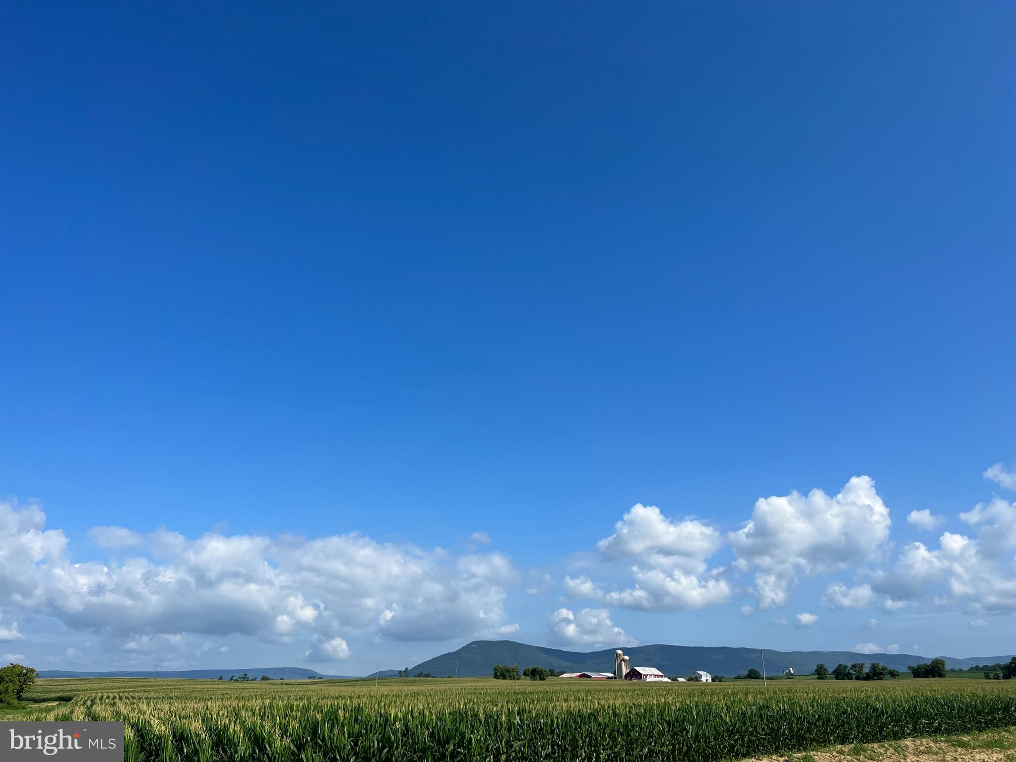 NONE AVAILABLE - Farm