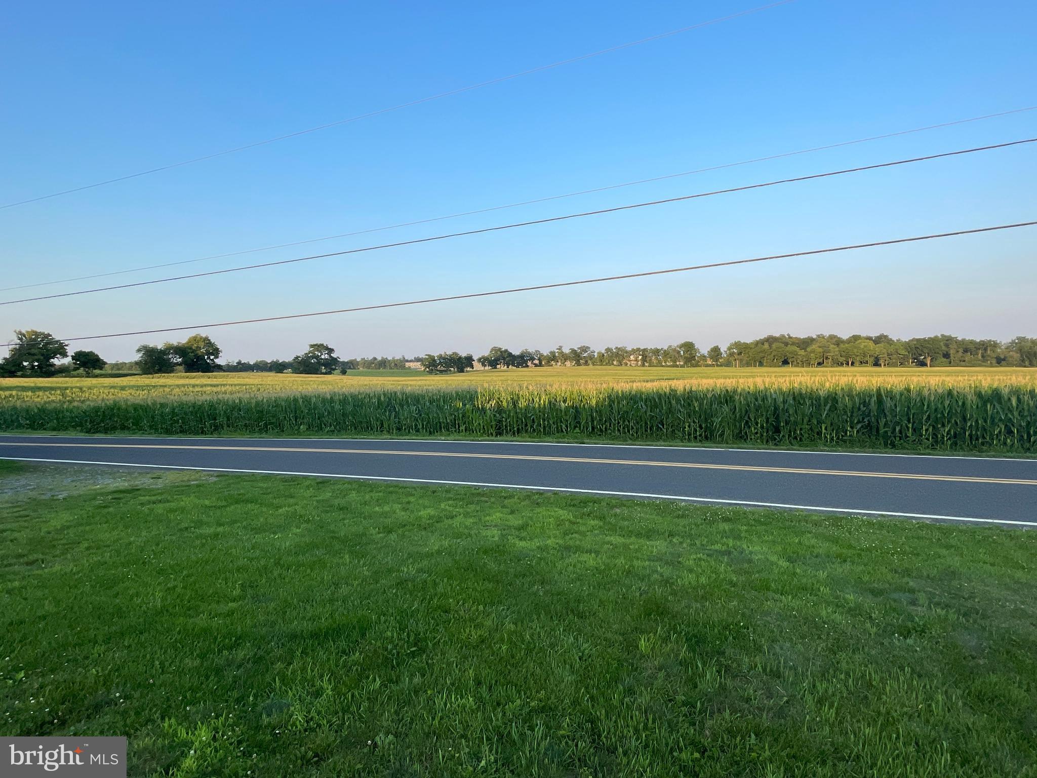 NONE AVAILABLE - Farm