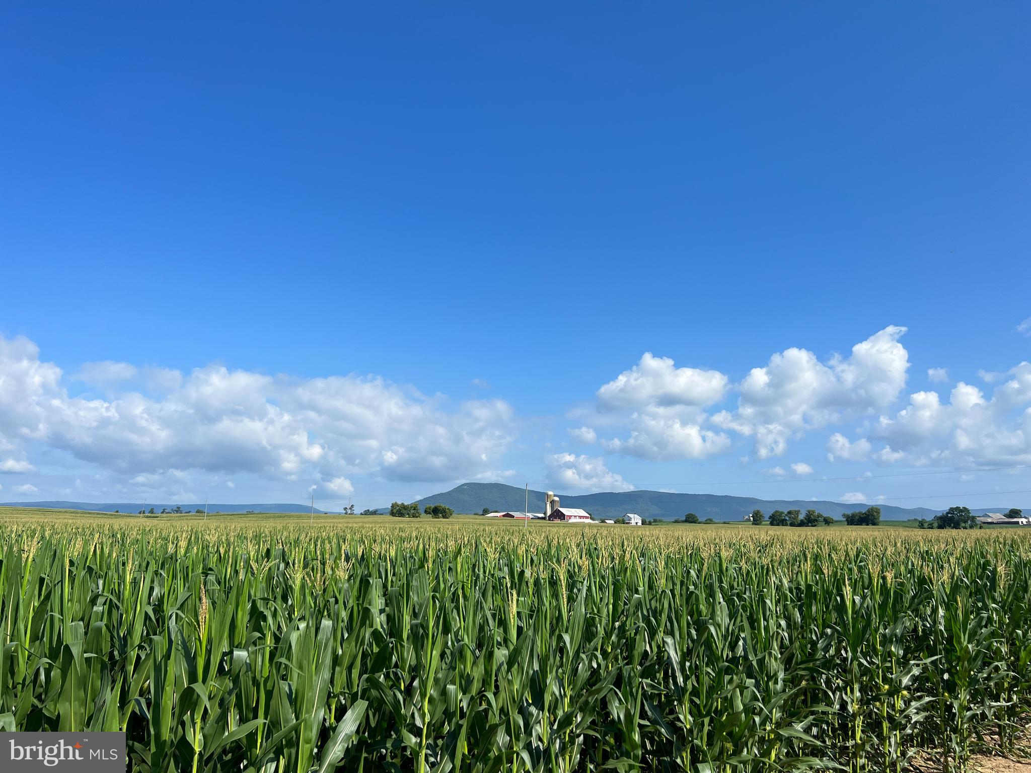 NONE AVAILABLE - Farm