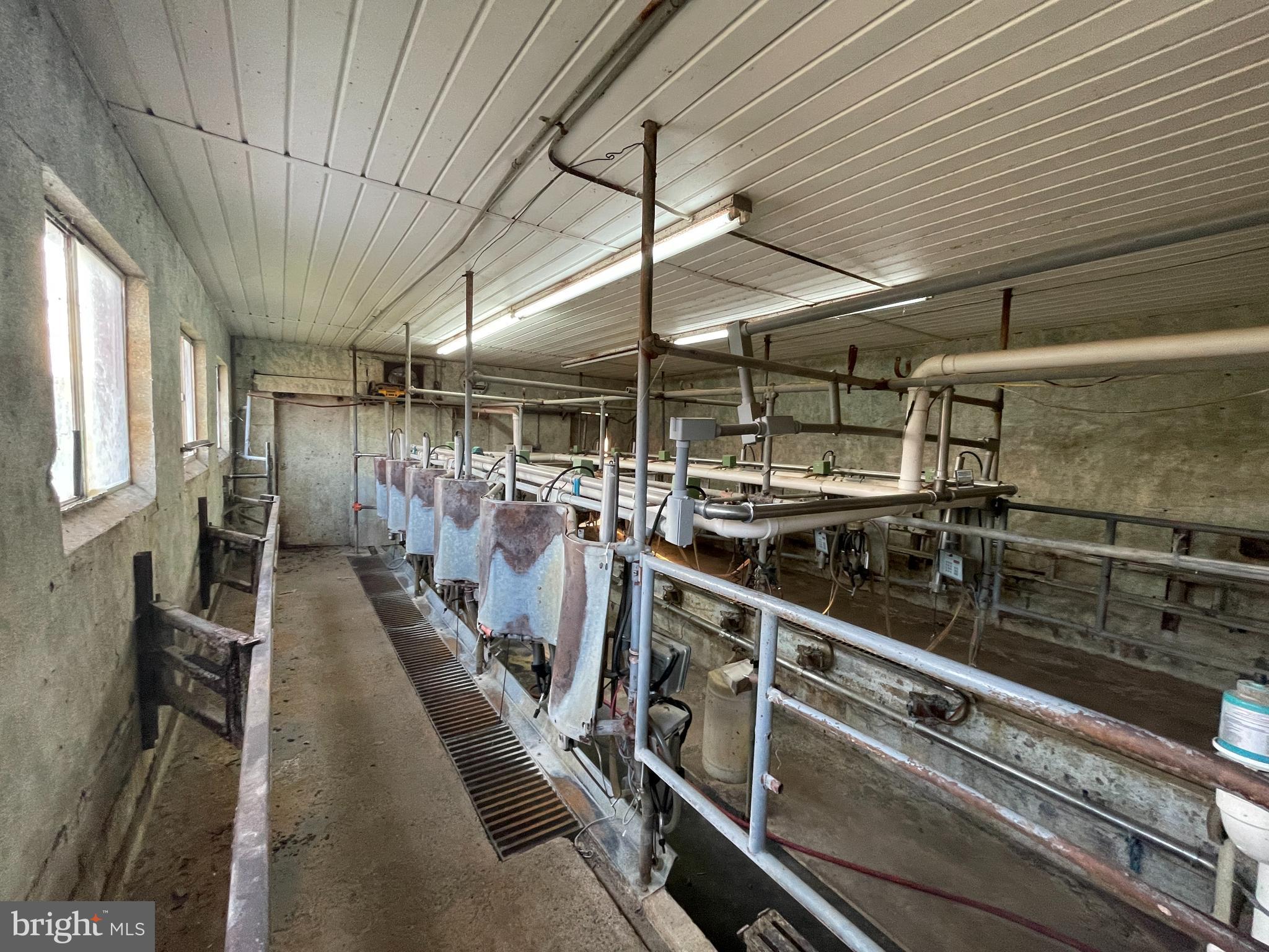 NONE AVAILABLE - Farm