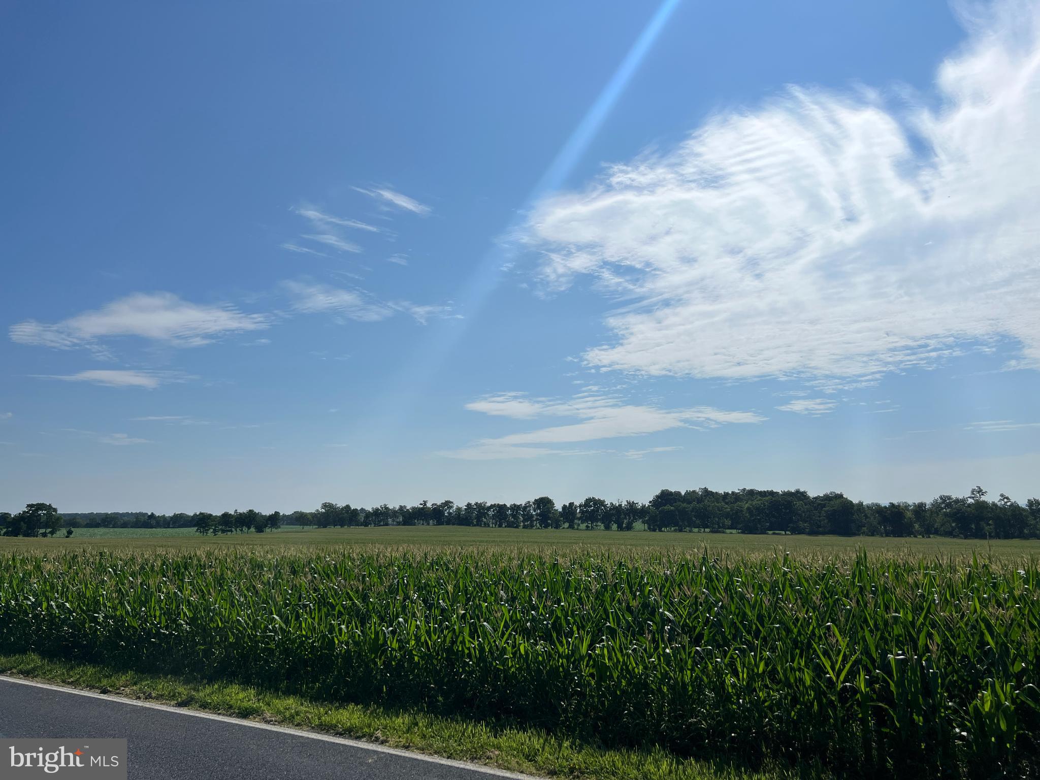 NONE AVAILABLE - Farm