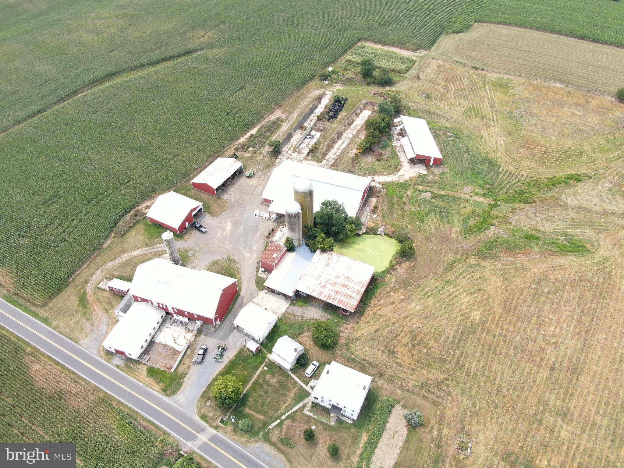 NONE AVAILABLE - Farm