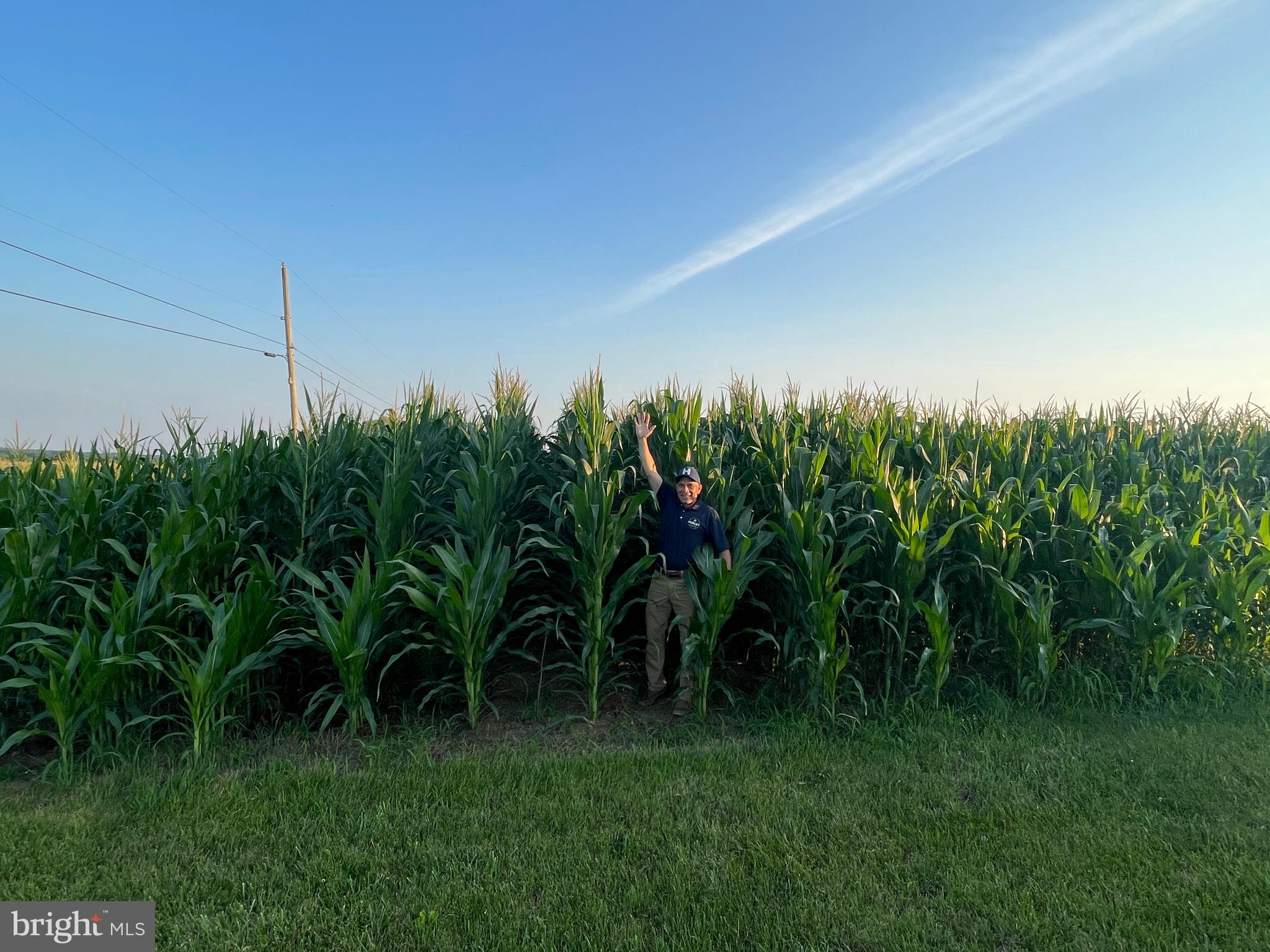 NONE AVAILABLE - Farm