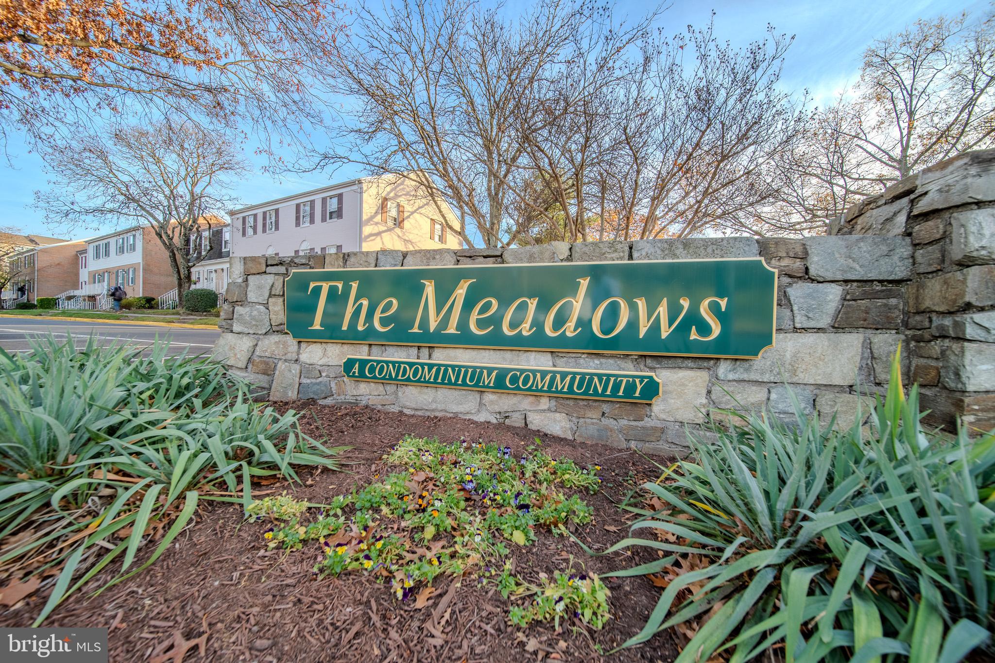 THE MEADOWS - Residential