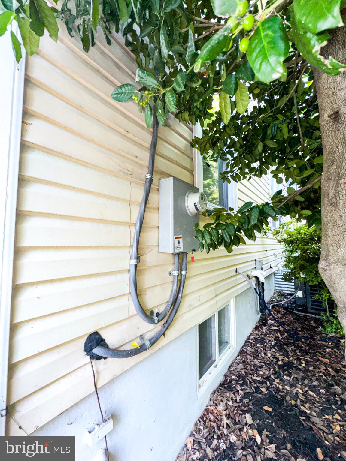 MT RAINIER- ROGERS 1ST A - Residential