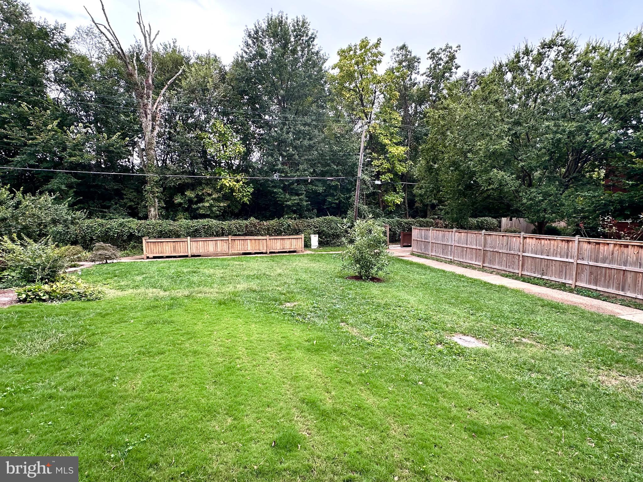 ARLINGTON VILLAGE COURTYARD - Residential