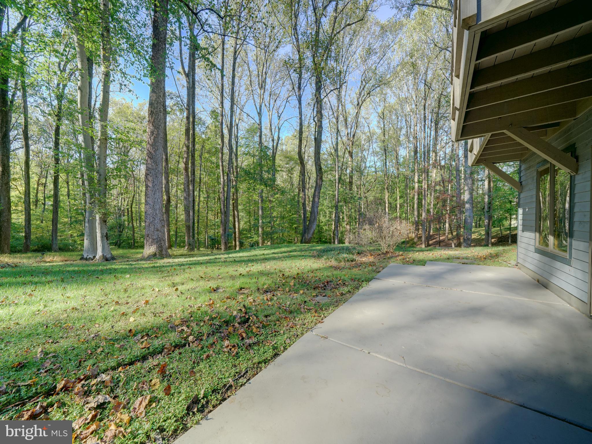 CHAPEL WOODS - Residential