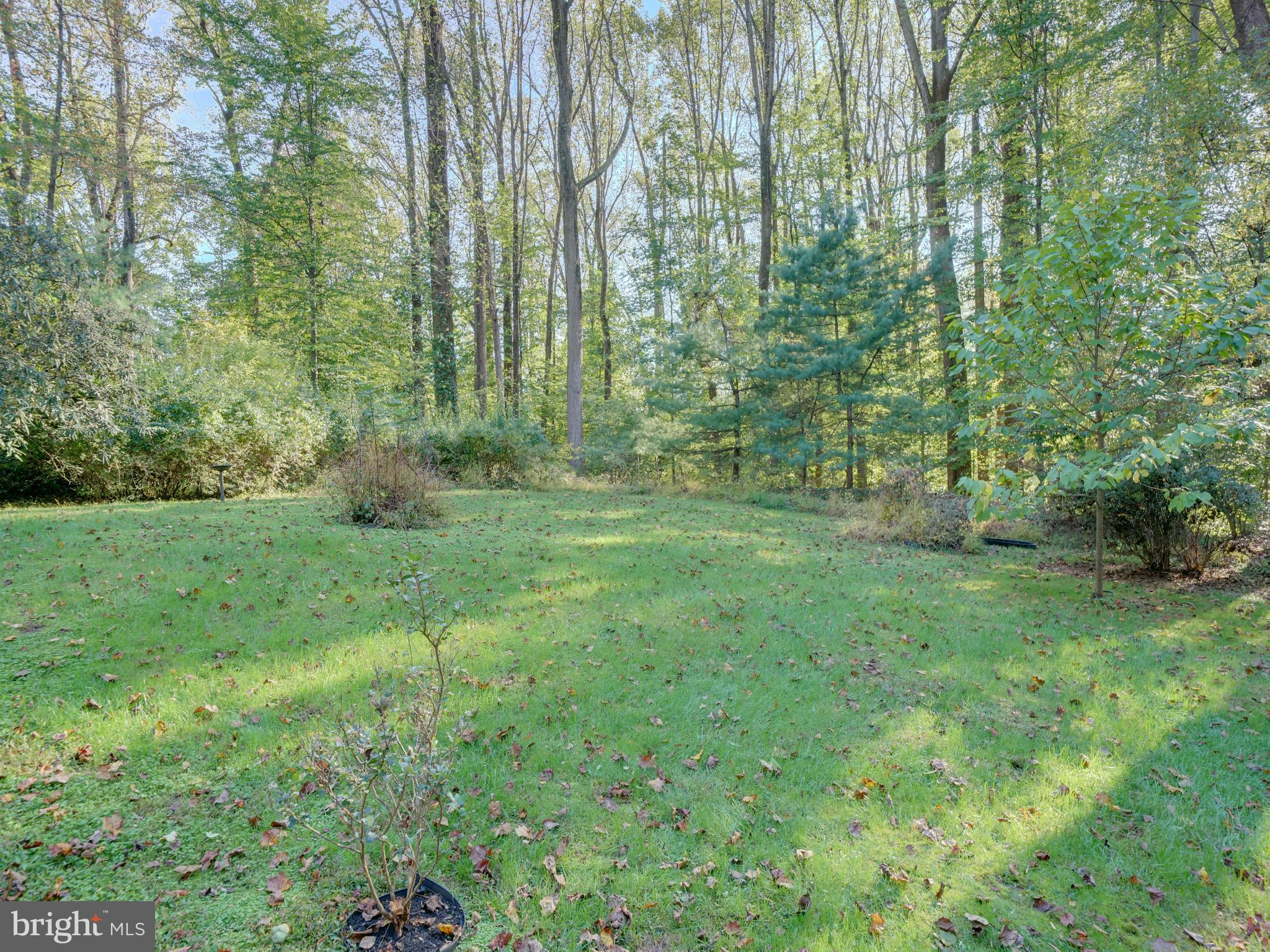 CHAPEL WOODS - Residential