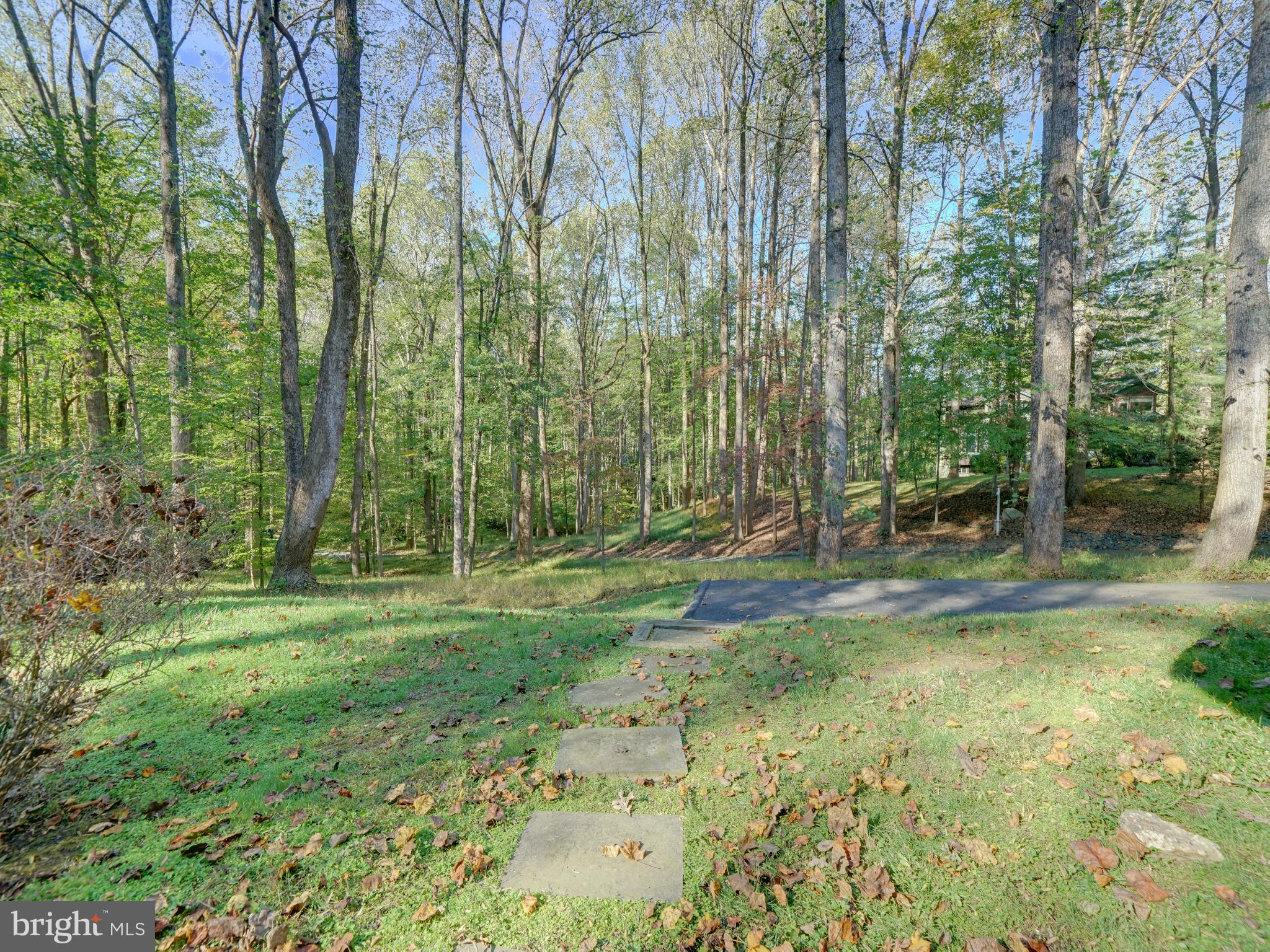 CHAPEL WOODS - Residential