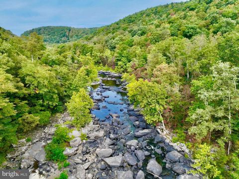 TBD KNOBTOWN ROAD BELINGTON WV 26250