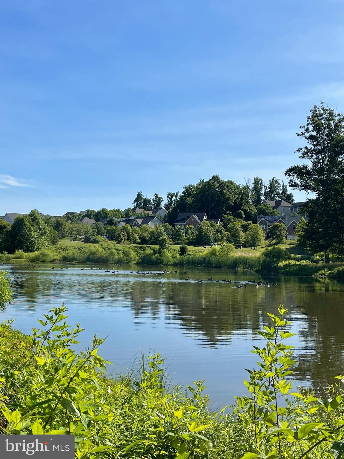 BEECH TREE NORTH VILLAGE - Residential
