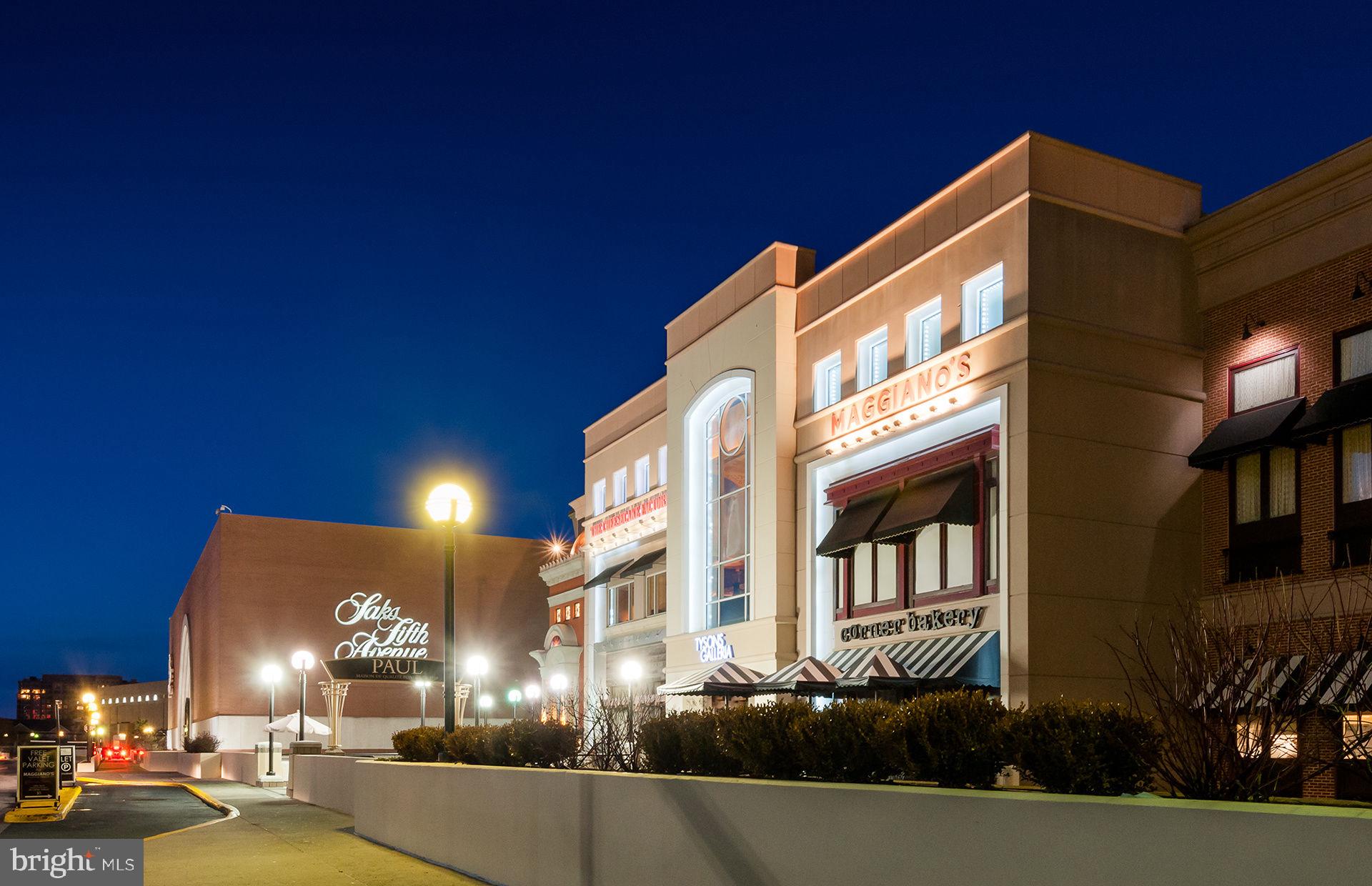 THE FLATS AT TYSONS - Residential