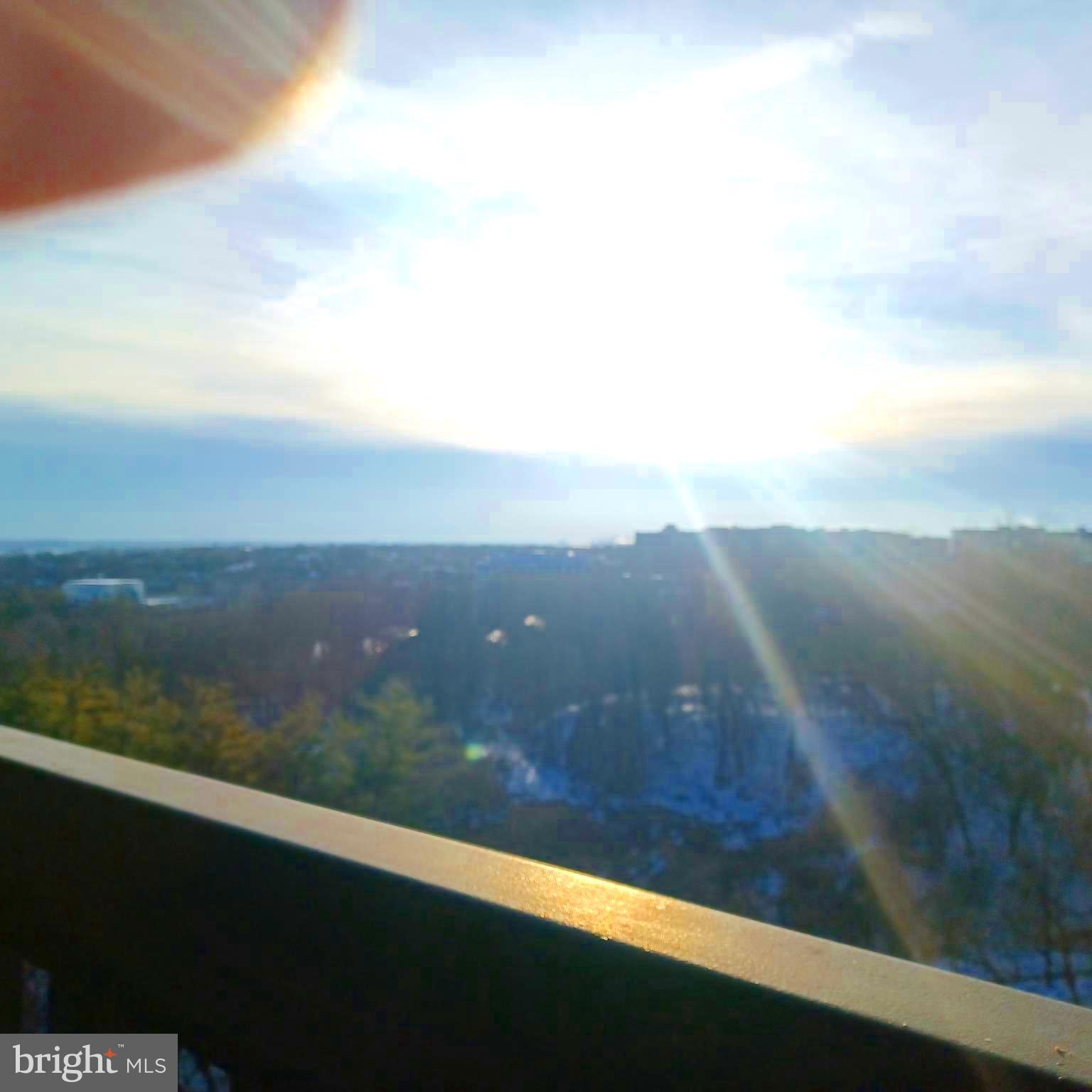 3705 S GEORGE MASON DRIVE 708S