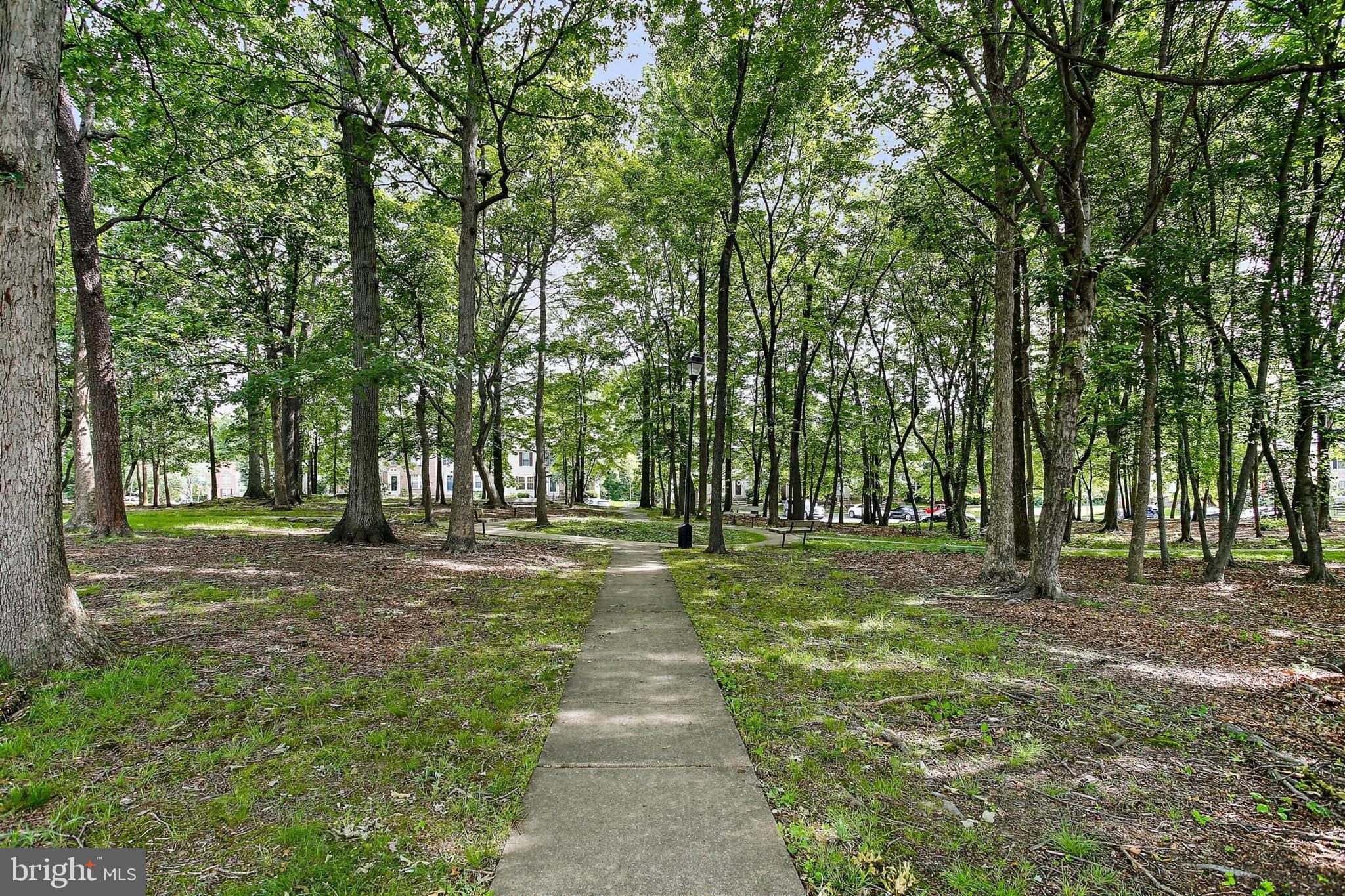 CASTLE STONE AT WHITE MARSH - Residential