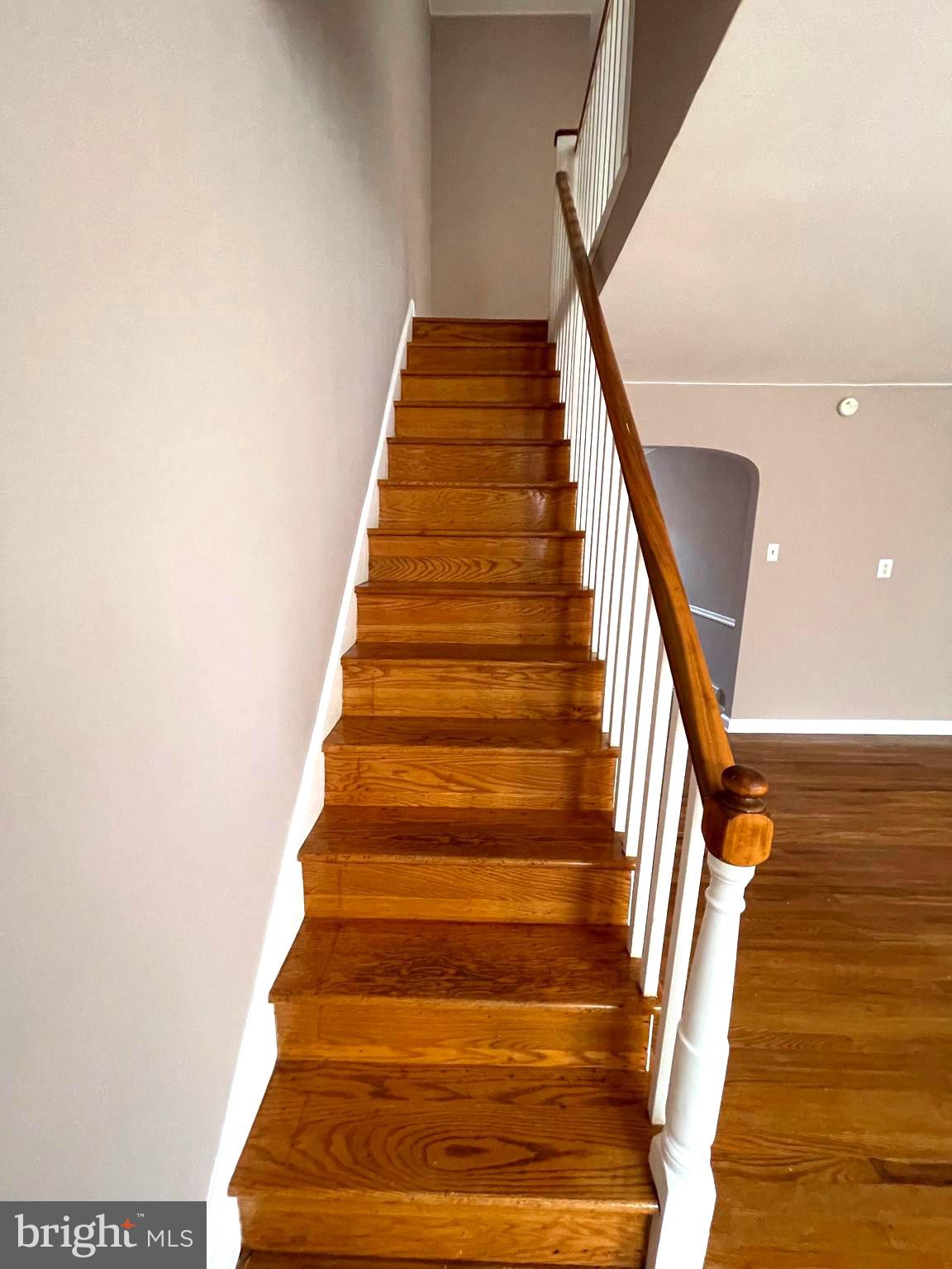 PENNYPACK - Residential Lease