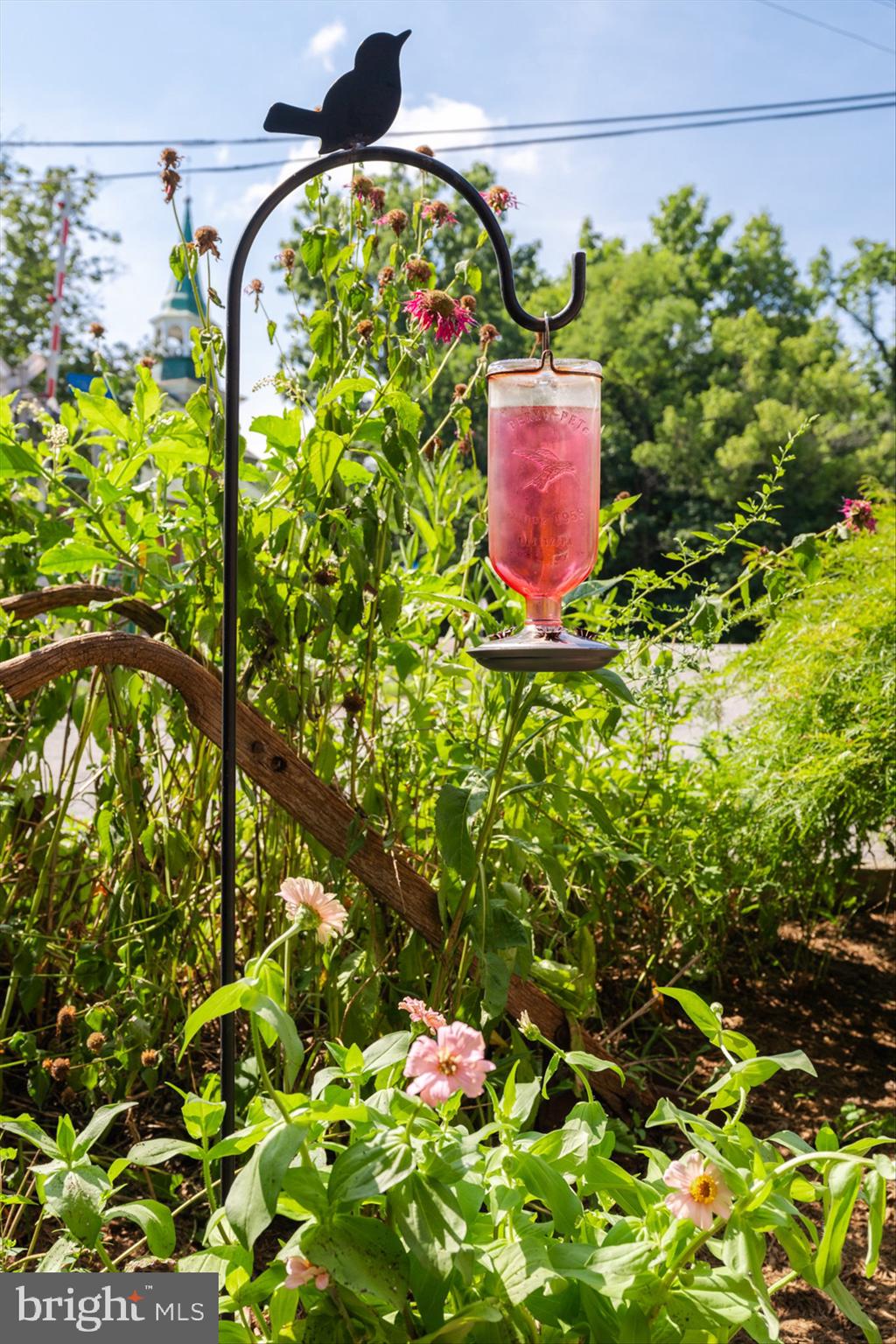 SHEPHERDSTOWN CORPORATION - Residential