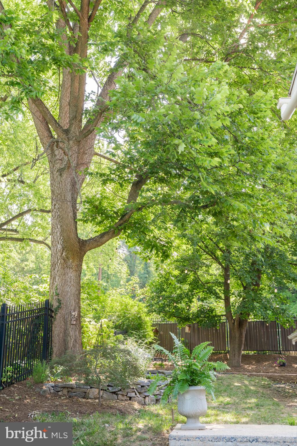 SHEPHERDSTOWN CORPORATION - Residential