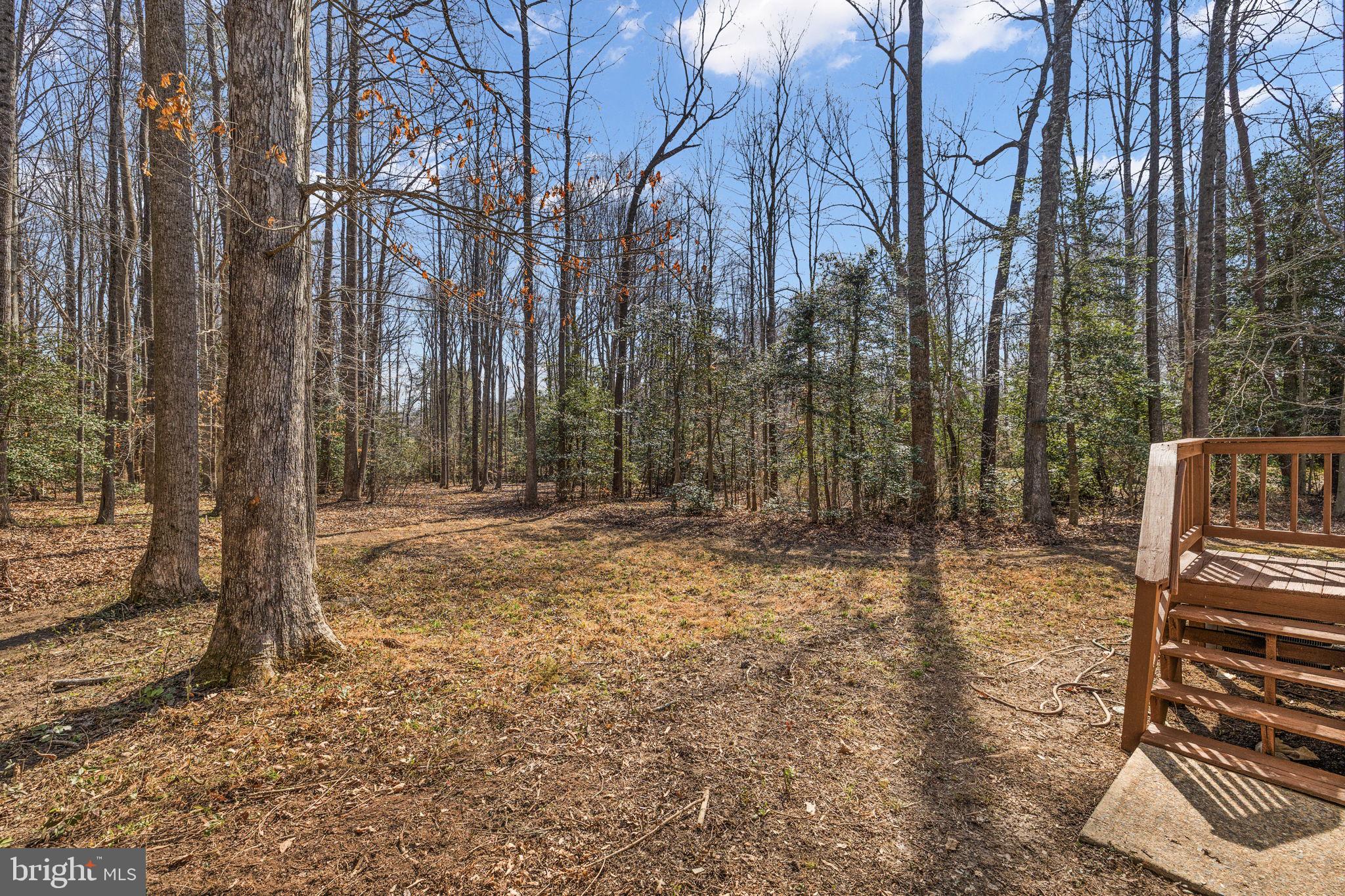 BROADUS FAMILY SUBDIVISION - Residential